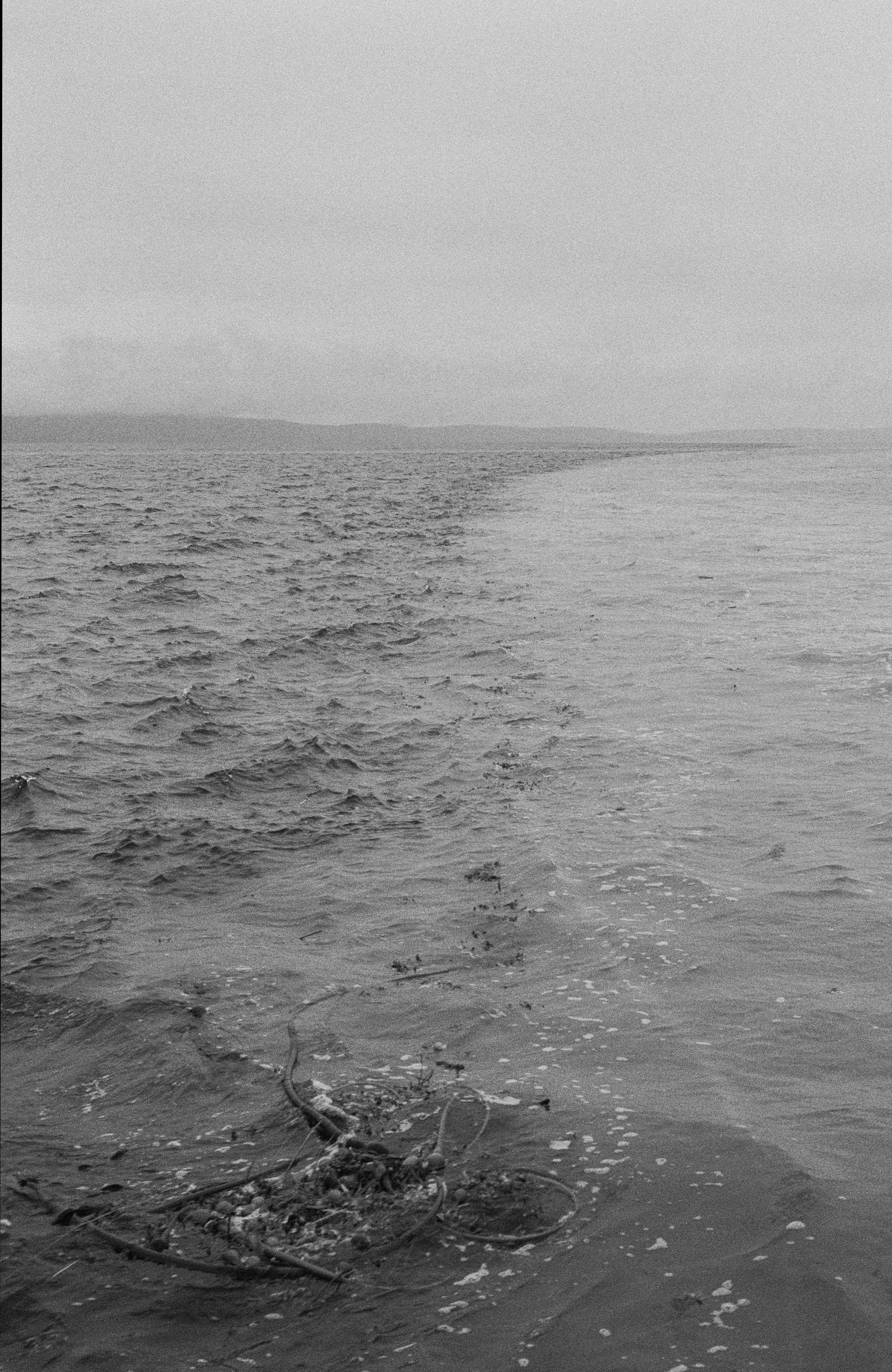 Reave Dennison, Tideline, 2025, 40.5 x 51 cm. Gelatin silver print.