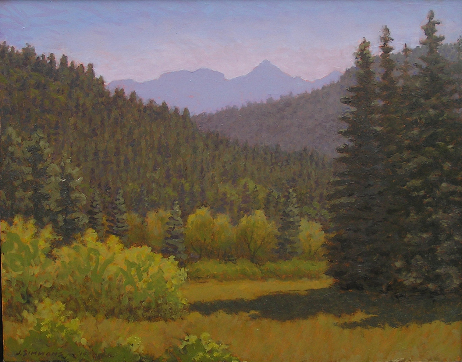 L3.46 - San Juan forest, CO