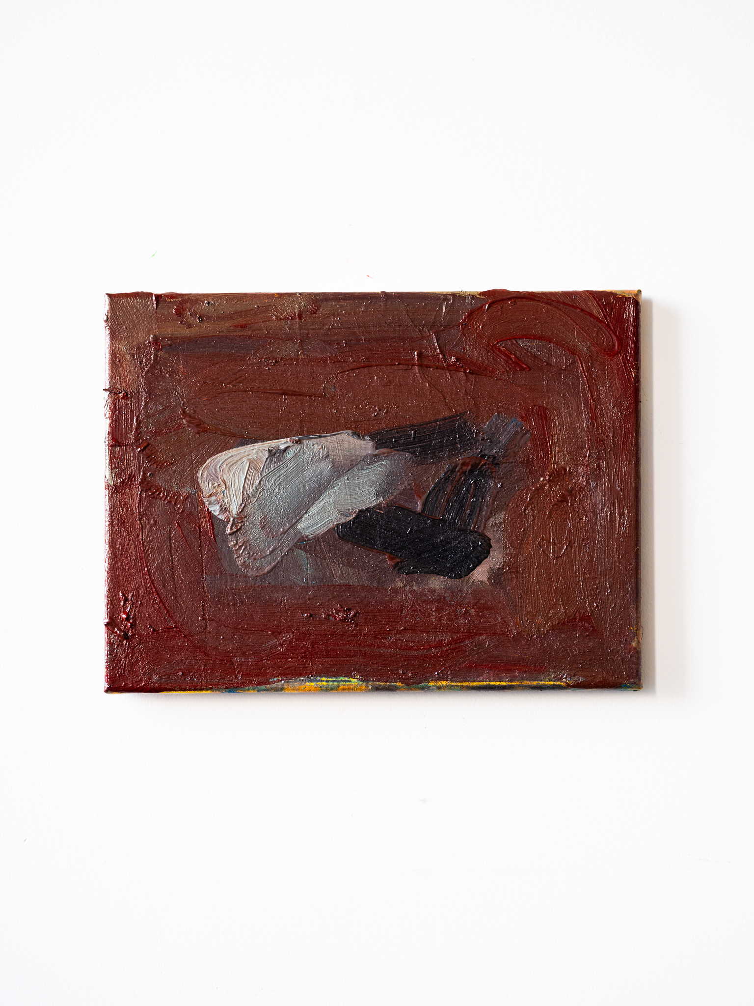 belly, 11x16, oil, acrylic, canvas