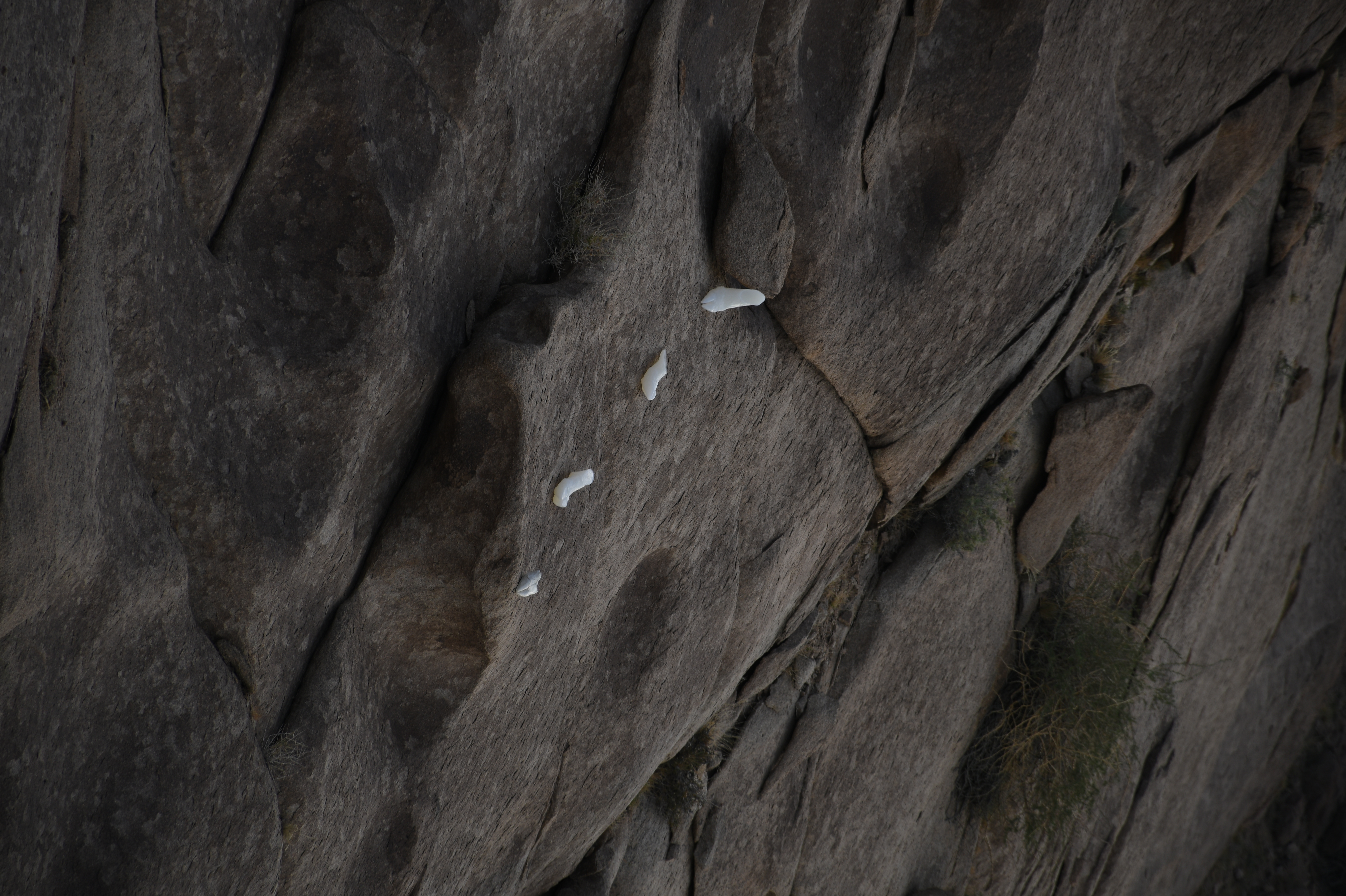 Silicone, variable sizes. Photography by 1:4:9 Art