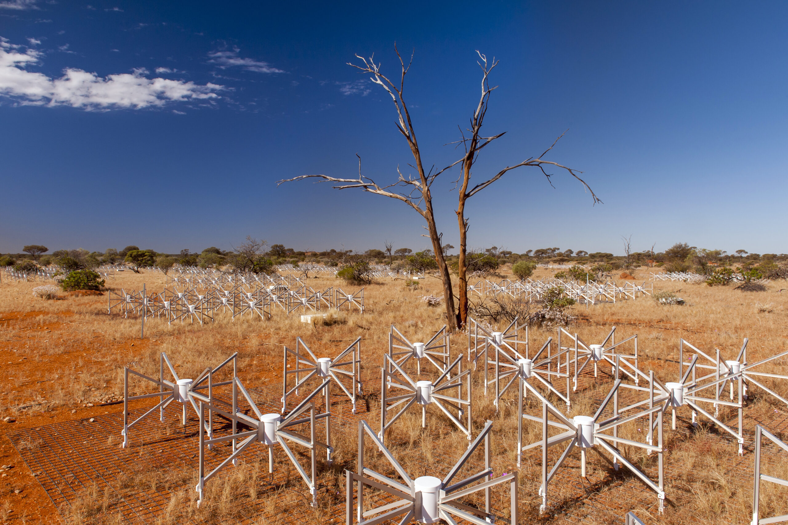 Murchison Widefield Array. Photo credit: Marianne Annereau, 2015