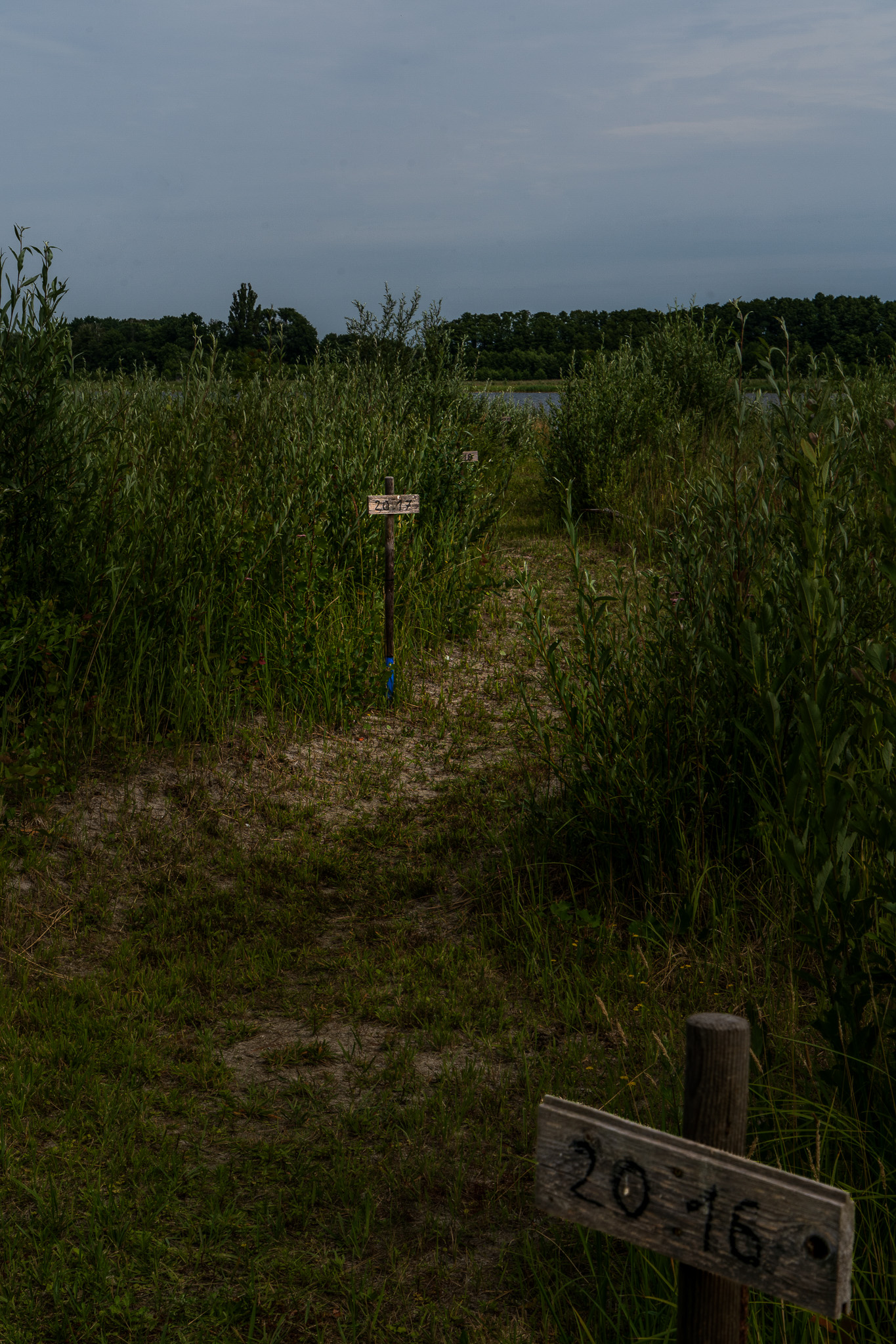 exhibition: "Seddin: Ein See verschwindet" 03/24