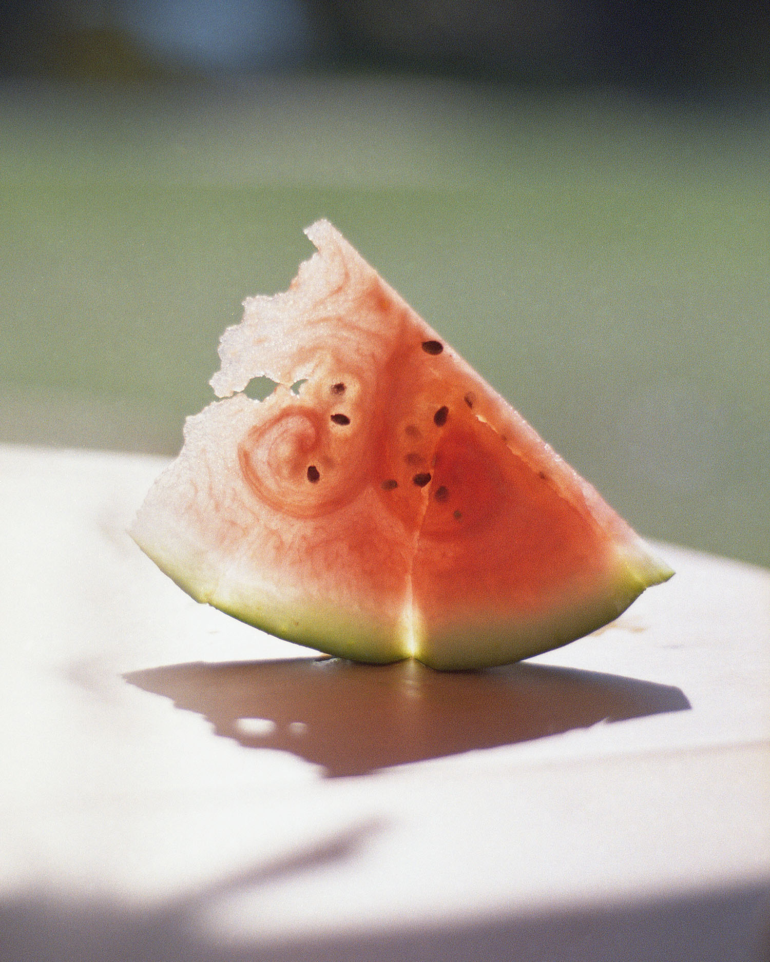 Watermelon fundraiser print for MAP