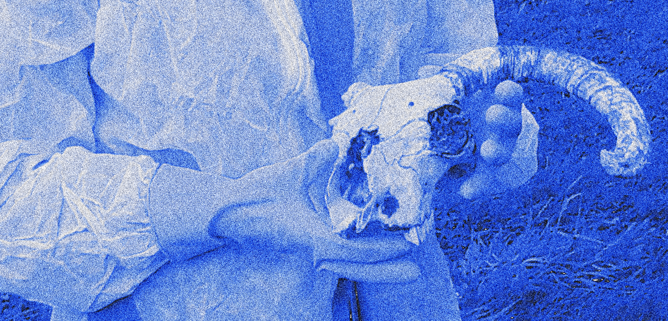 cropped image of a person holding a sheep skull