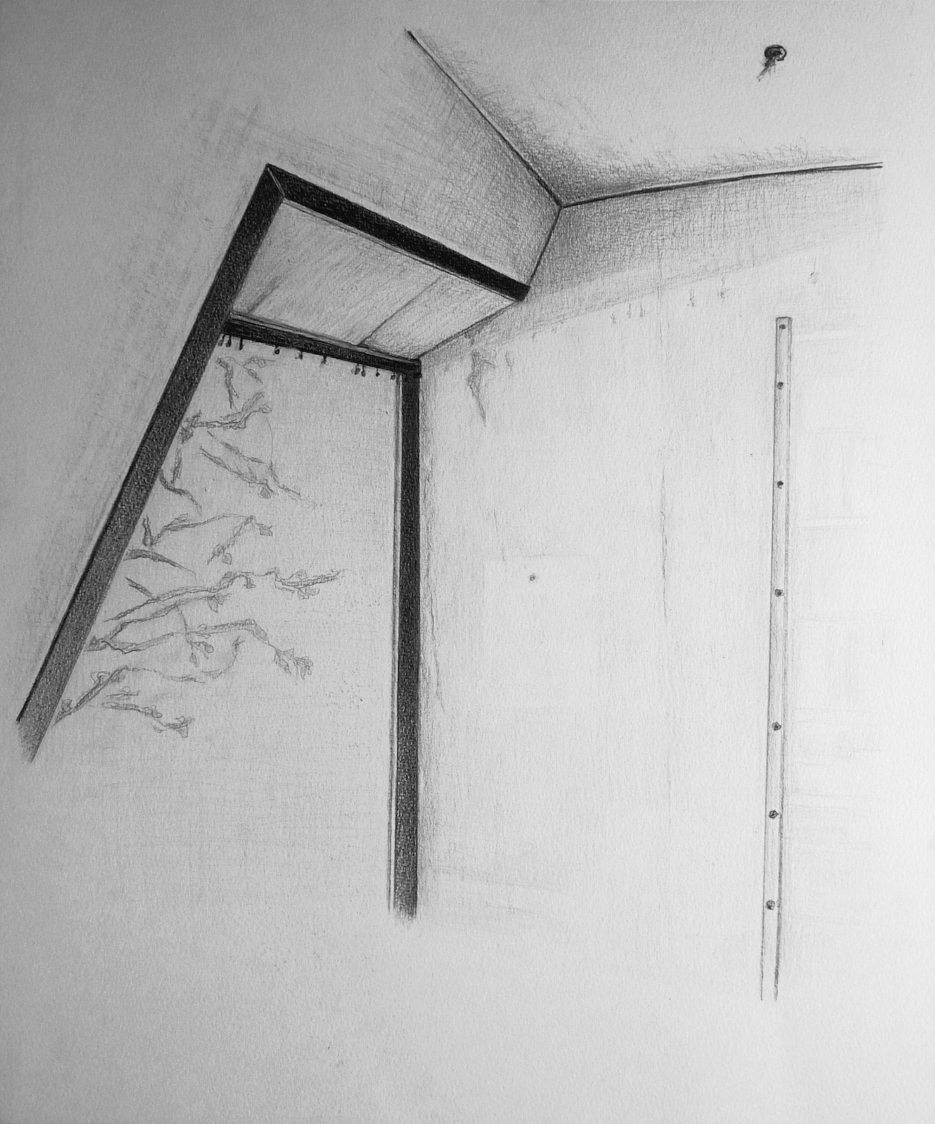 potlood op papier, 60 x 50 cm