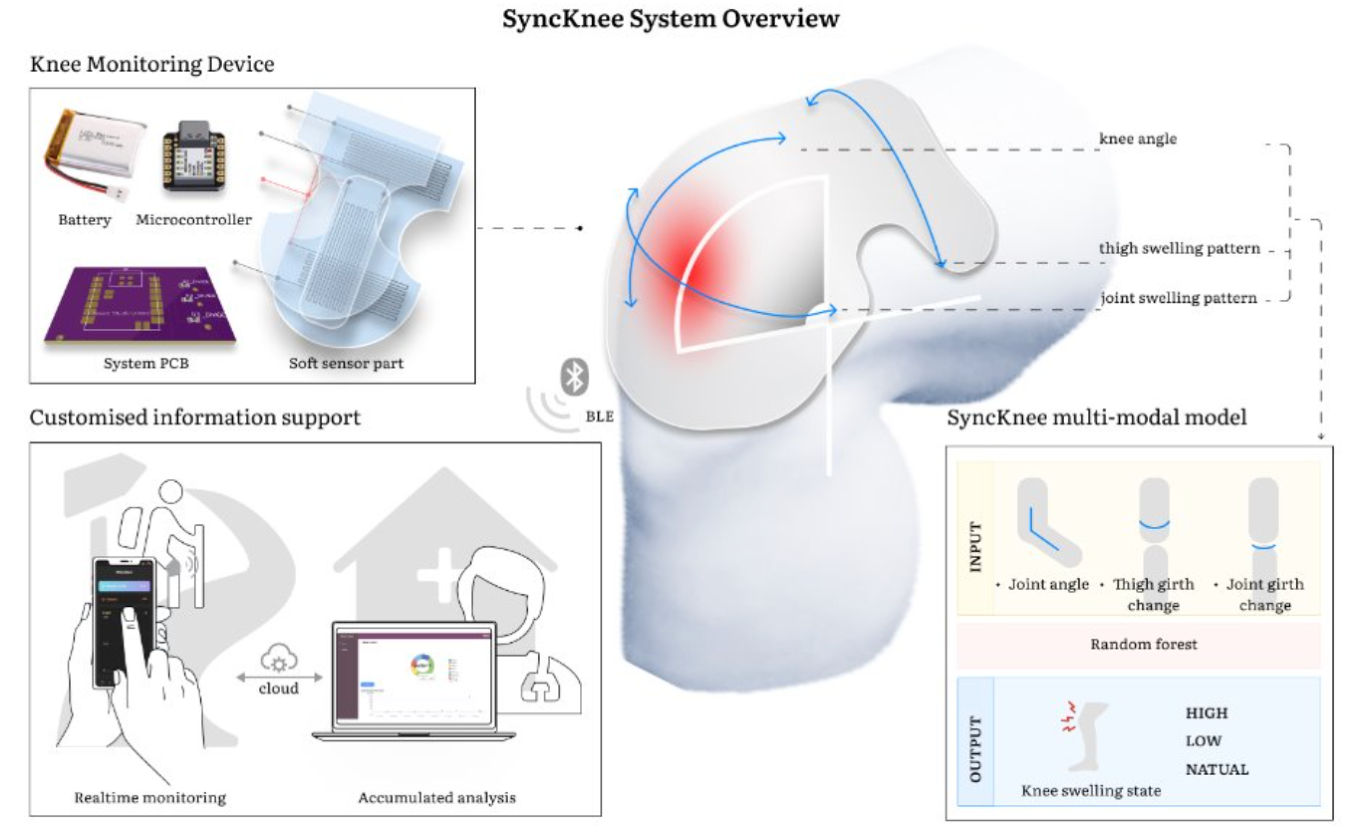 Electronics system:The phone prototype, computer software, and knee guard prototype all connect using Bluetooth to provide real-time data and monitor