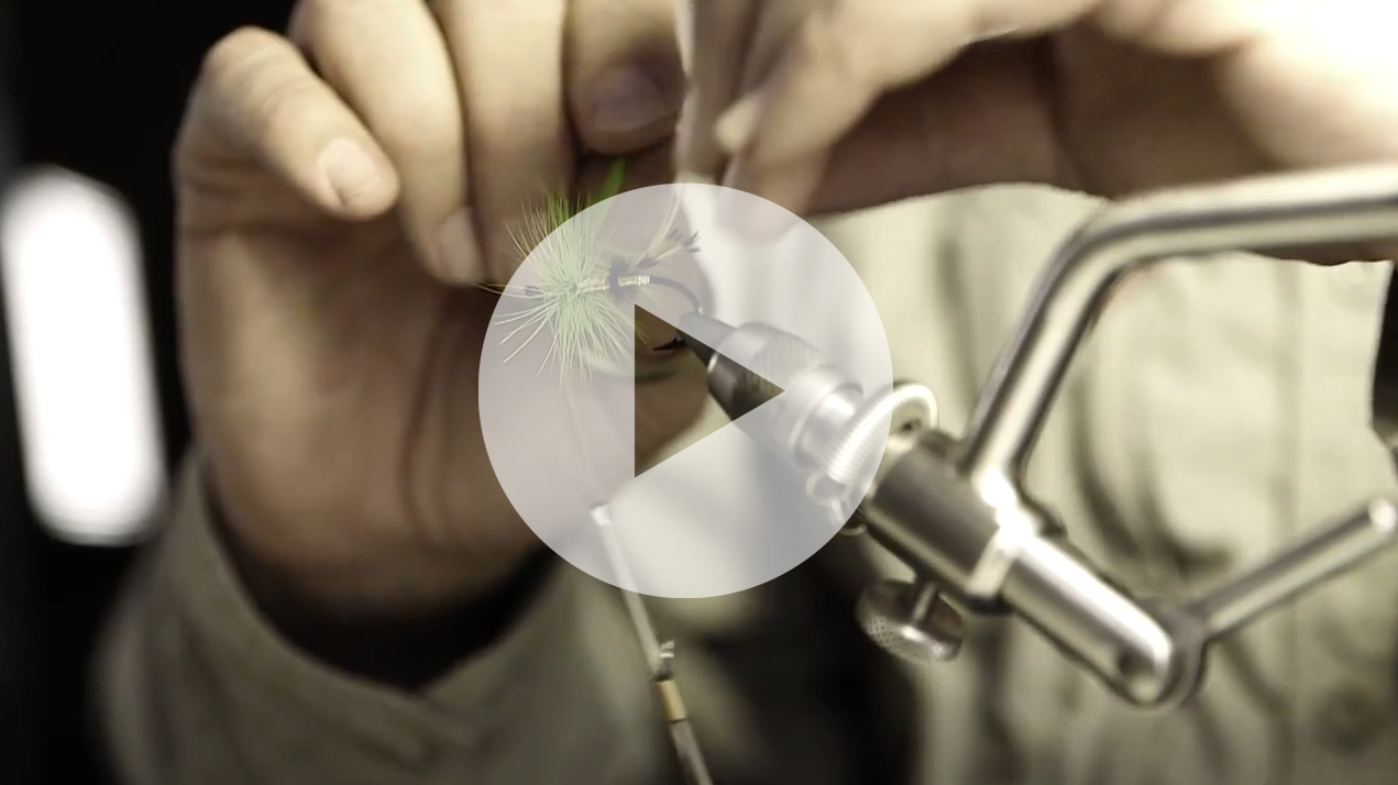 Partners + Napier / Pitch Video