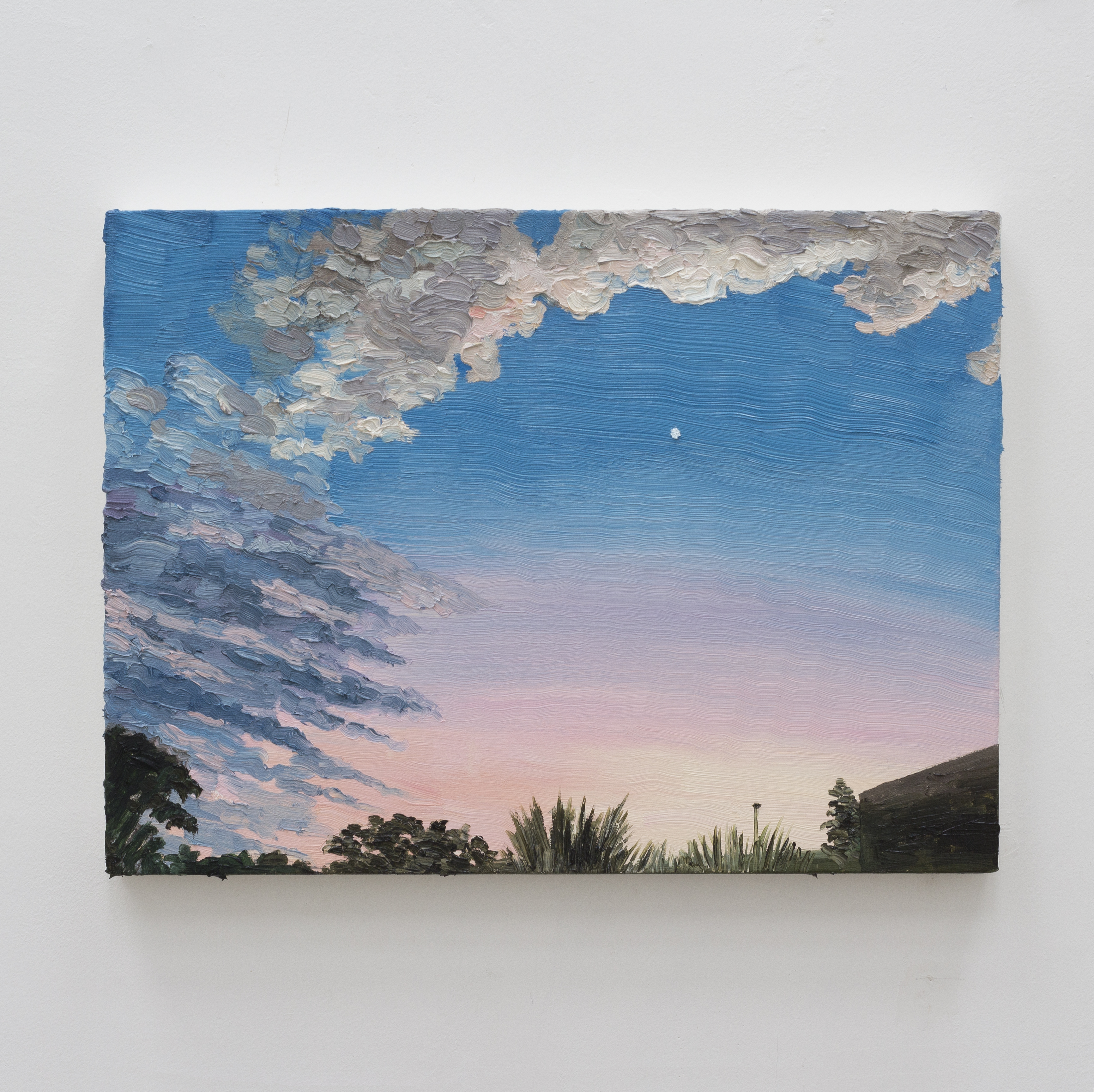 V&ecirc;nus, 2023&oacute;leo sobre tela30 x 40 cm