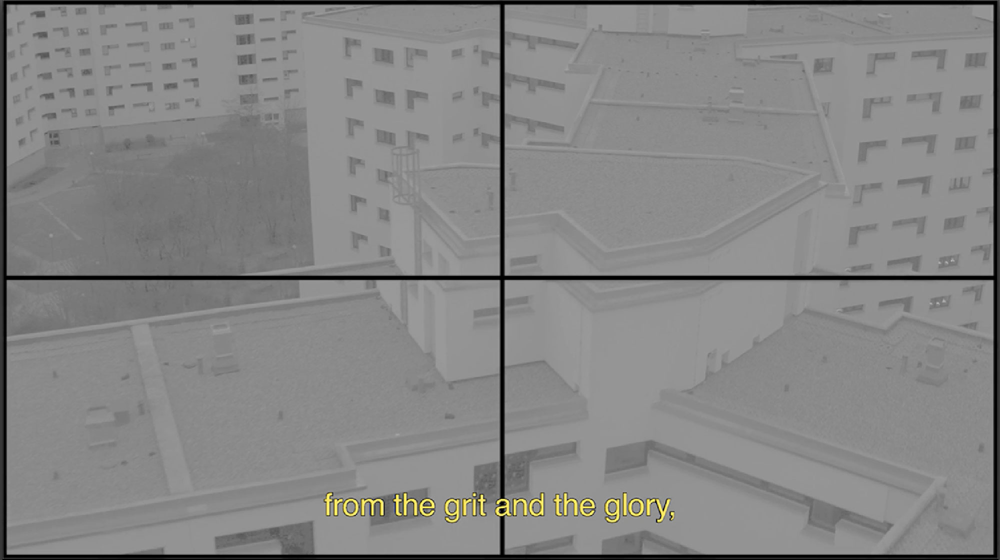 Nike Cecilia Azcarate Berlin Dunk