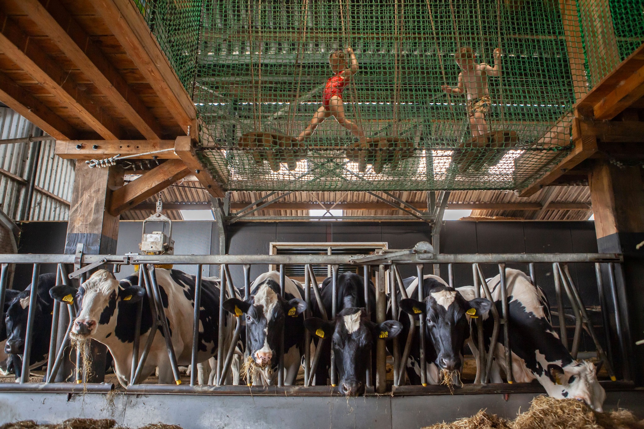 Editorial photography: summer series for Het Financieele Dagblad titled 'Holidays in the Netherlands'