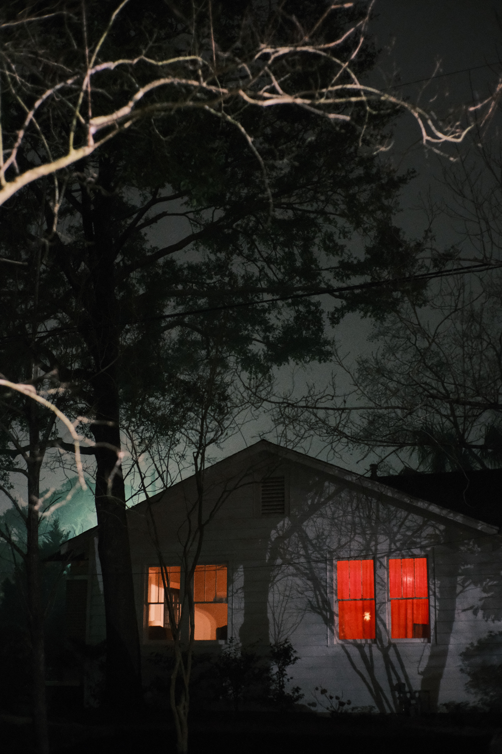 Foggy February, Wagener Terrace, Charleston - February 2021