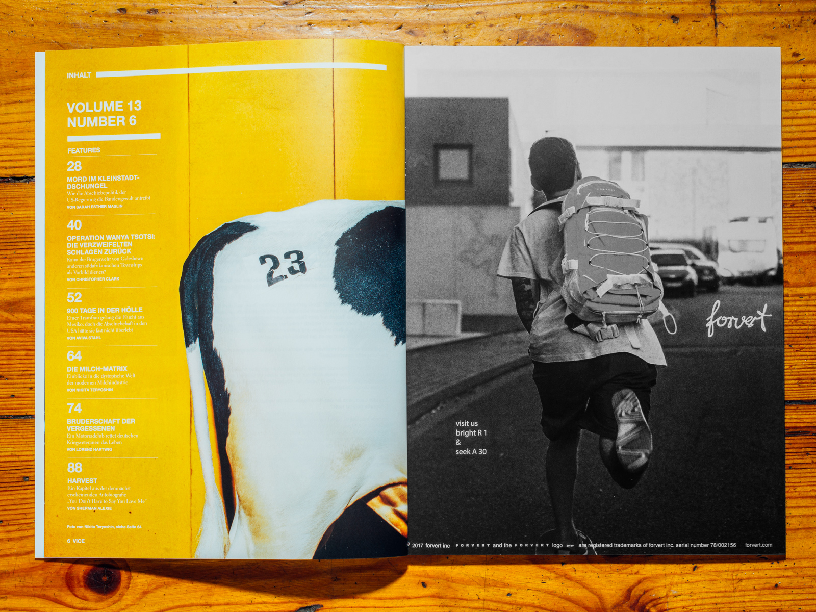 VICE / Hornless Heritage Serie als Coverstory, Juli 2017