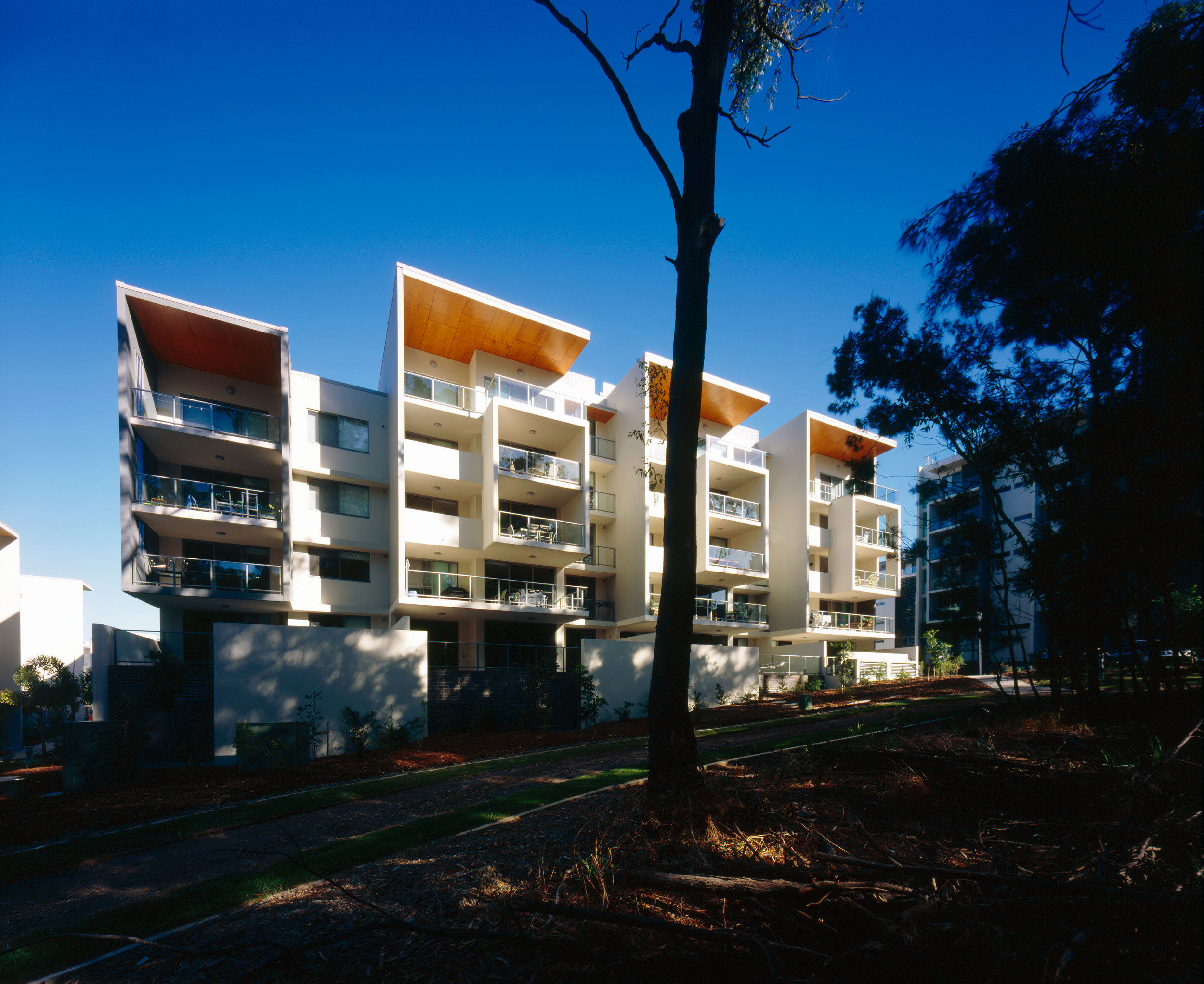 Exterior view of modern and minimalistic apartment building, with a large tree in the foreground.