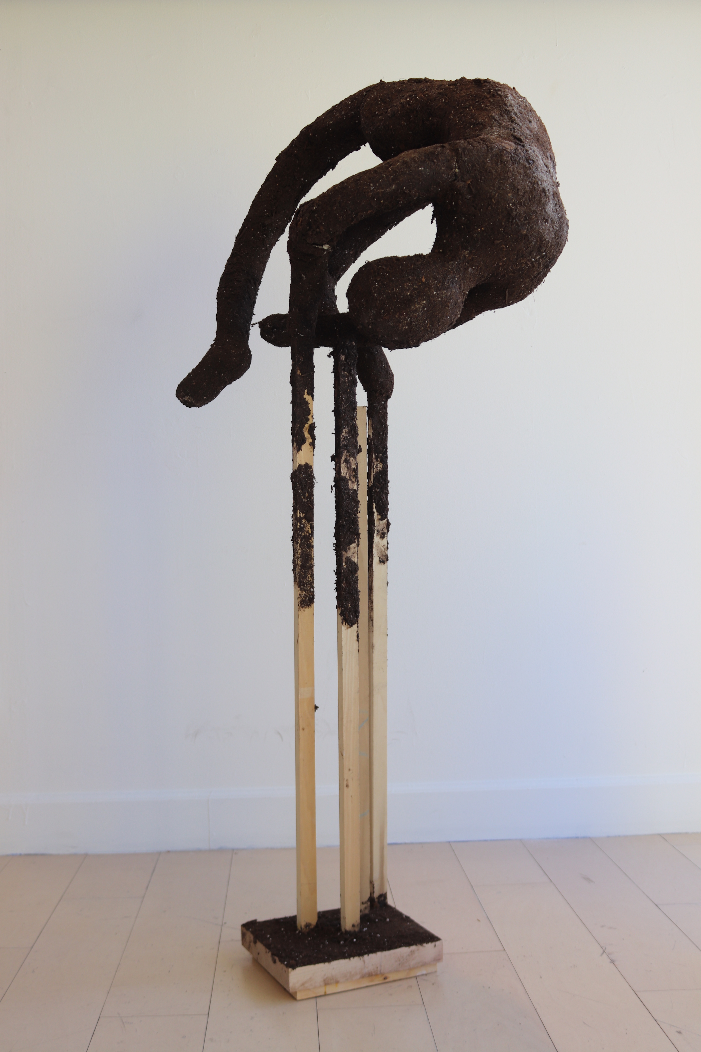 Ouch 56x27x30 dirt, wood, paper mache