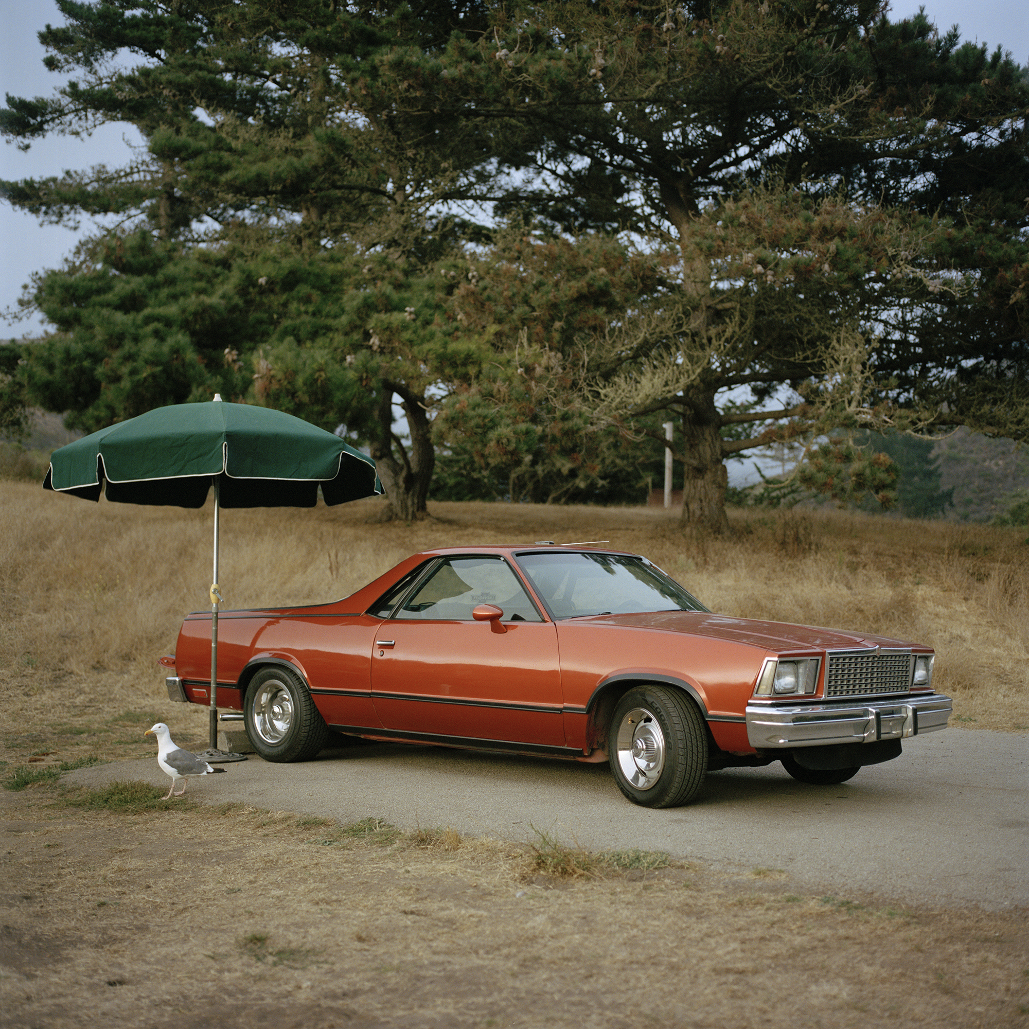 California coastal camping