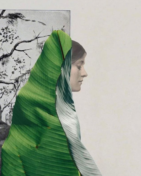 Regina Lafay Bellamy