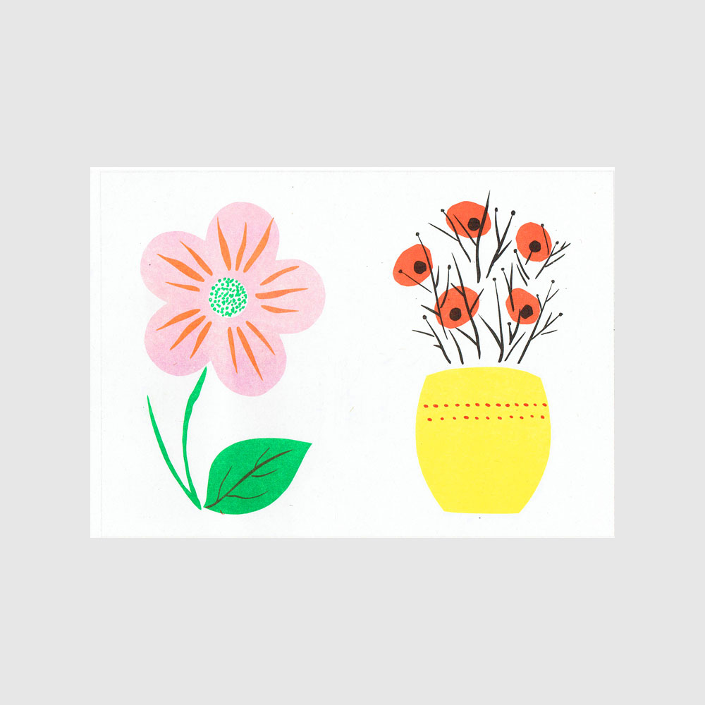 Pink Flower and Plant by Nikki