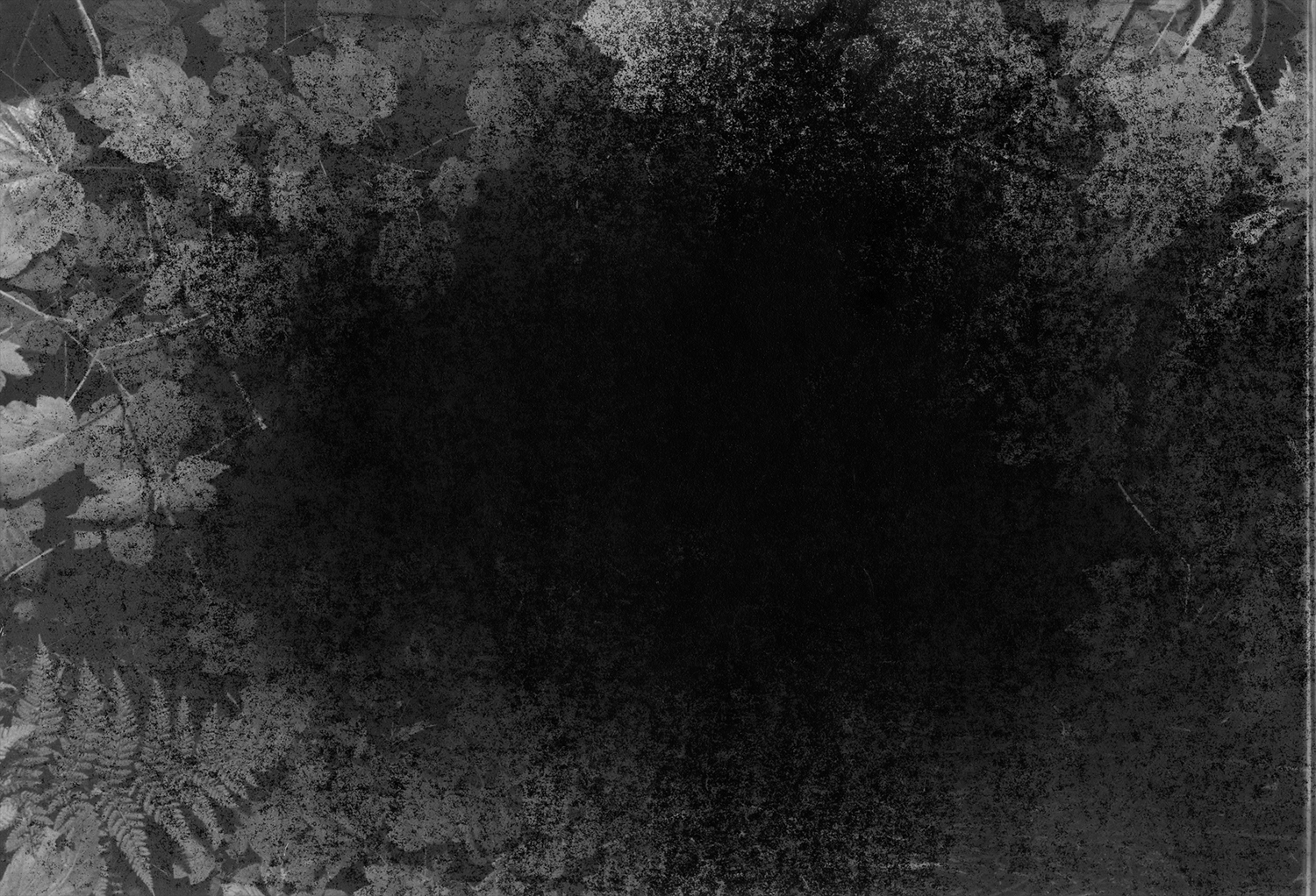 (you draw it out of a) void, 4x6" silver gelatin print on expired paper, encaustic on wood panel