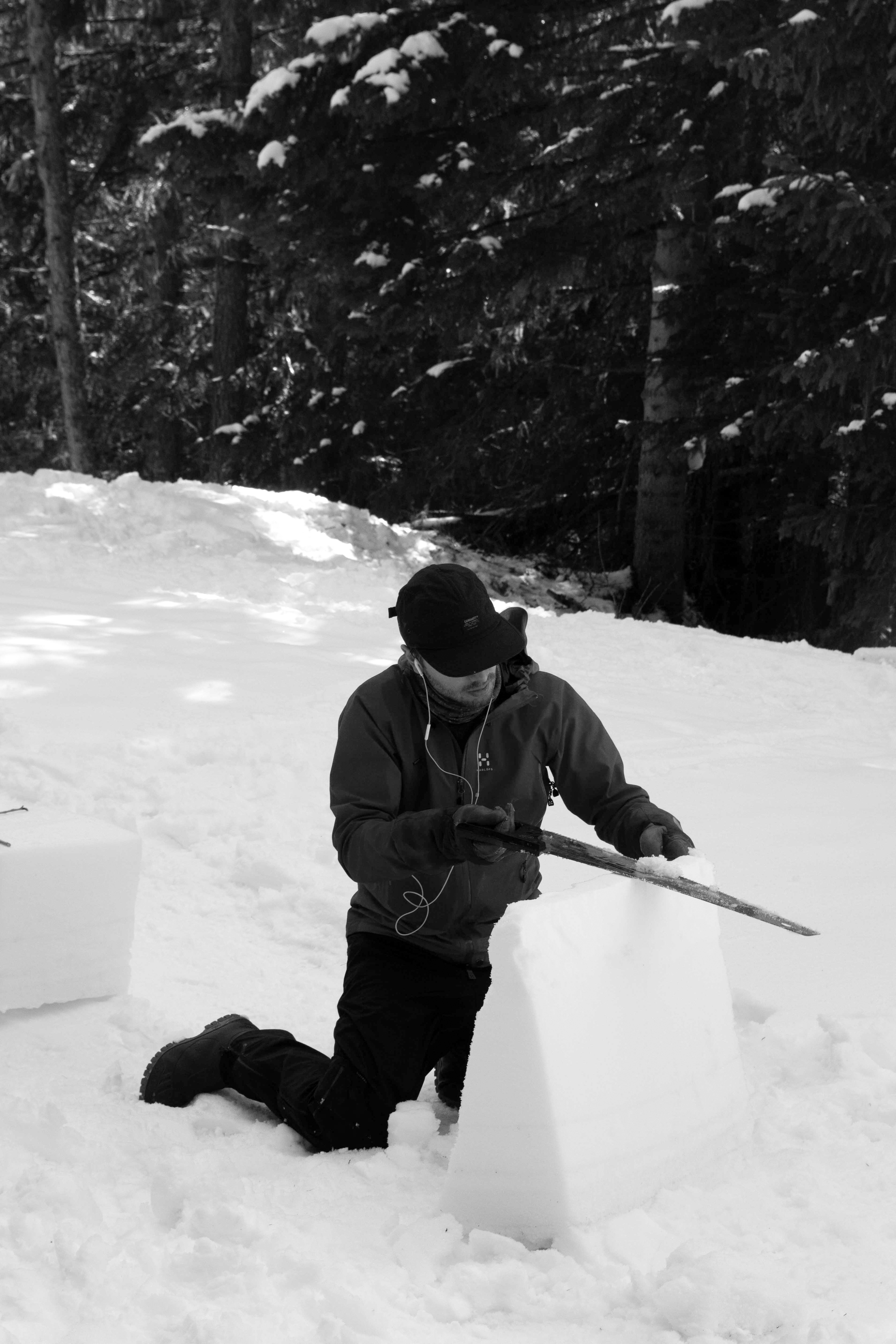 Quand fondra la neige, où ira le blanc ? Chamonix, 2020