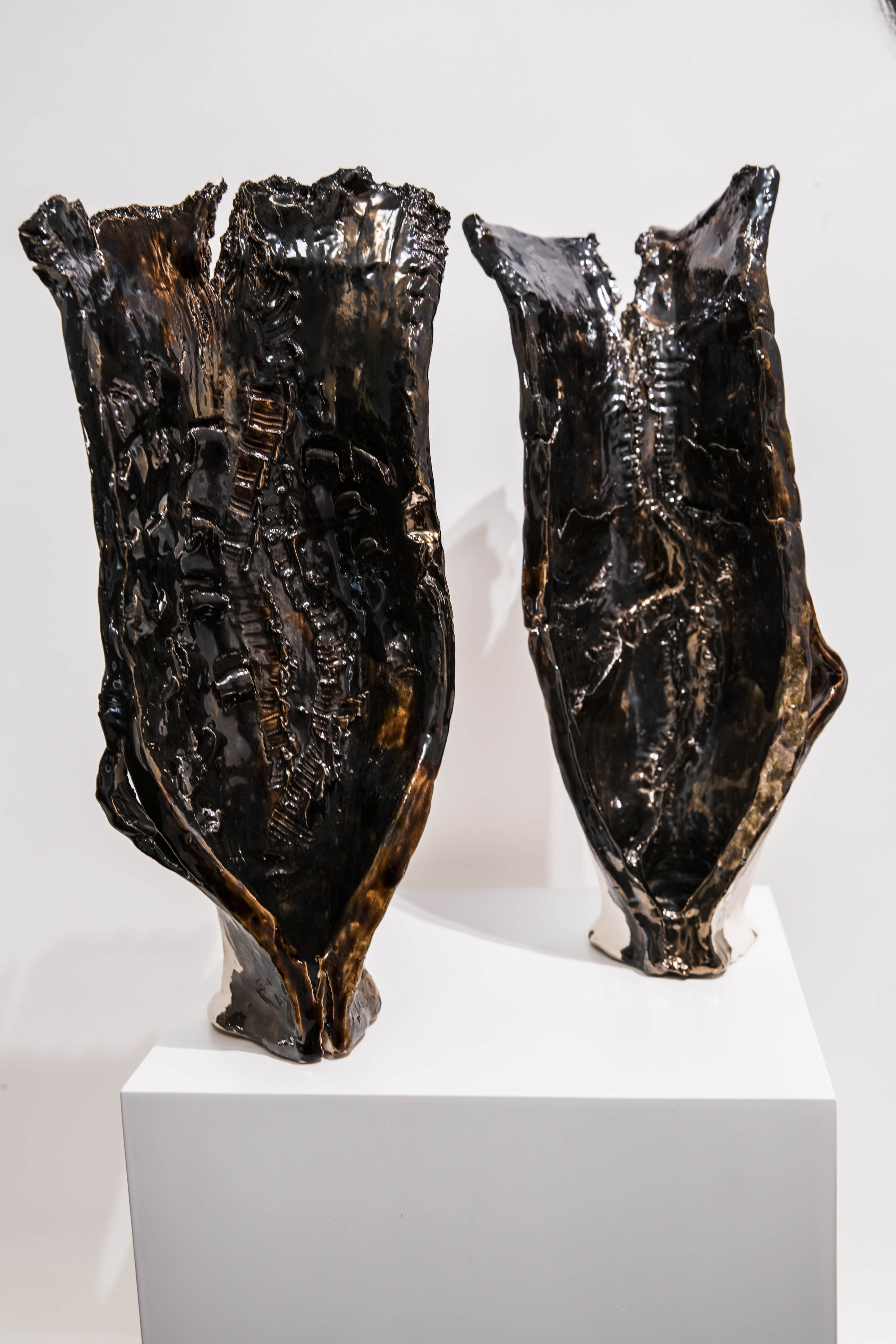 Pupa - Diptych - Ceramic and Enamel  35 x 19 x 15 cm.