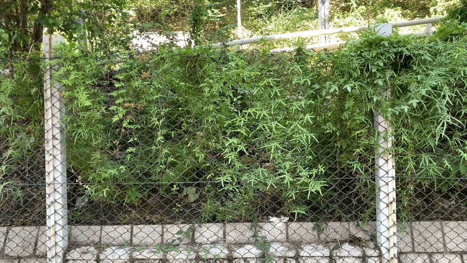 MESH FENCE 13:47 MONG KOK EAST