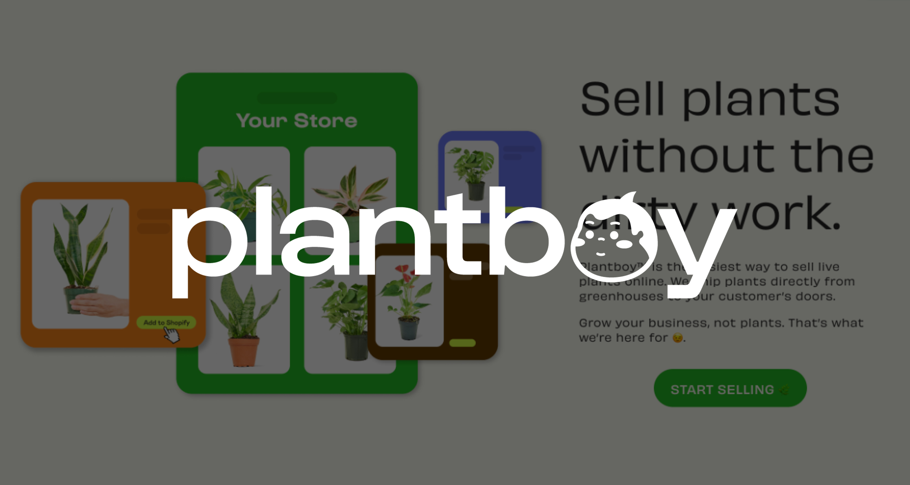 Brand Refresh and Web Design for Plantboy