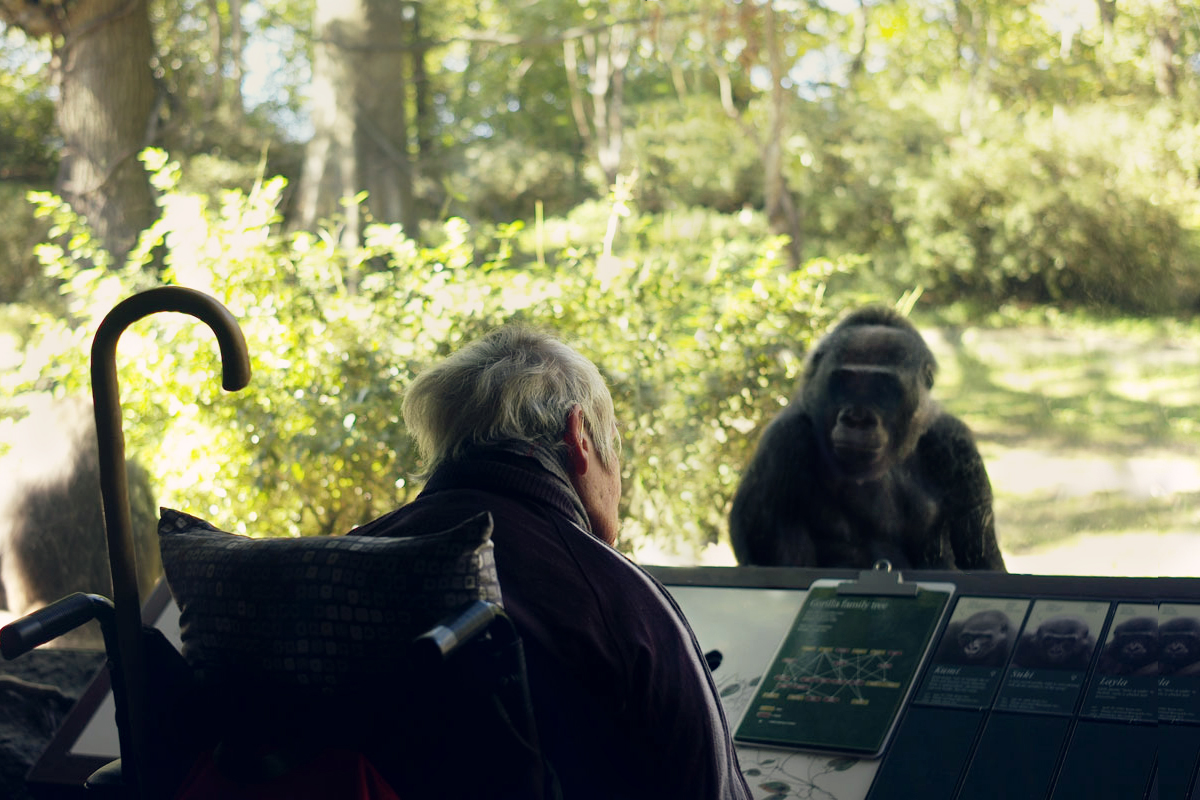 2/2Mother & ape, 2011 (111004_LR_L1002493)
