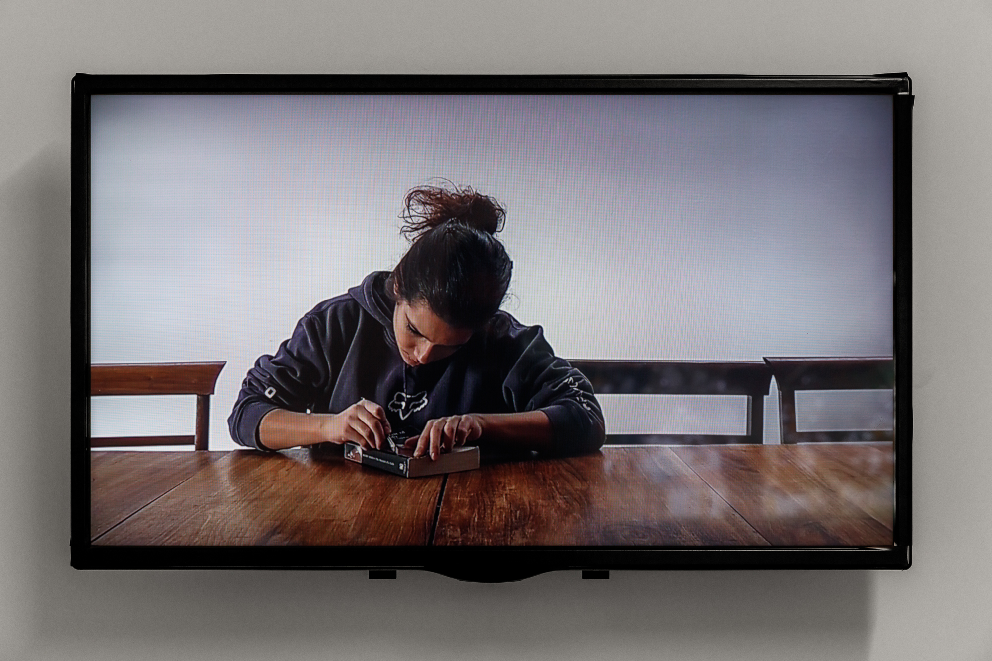 Francisca Aires Mateus, Portrait of a Lady (2012)