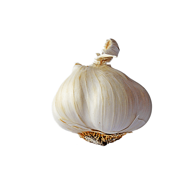 garlic