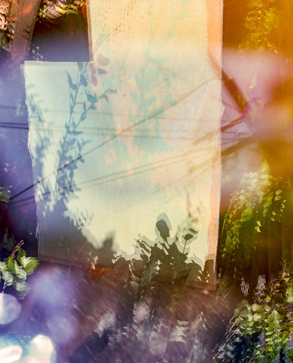 Untitled (LA), 2019, Archival Inkjet Print, Dimensions Variable
