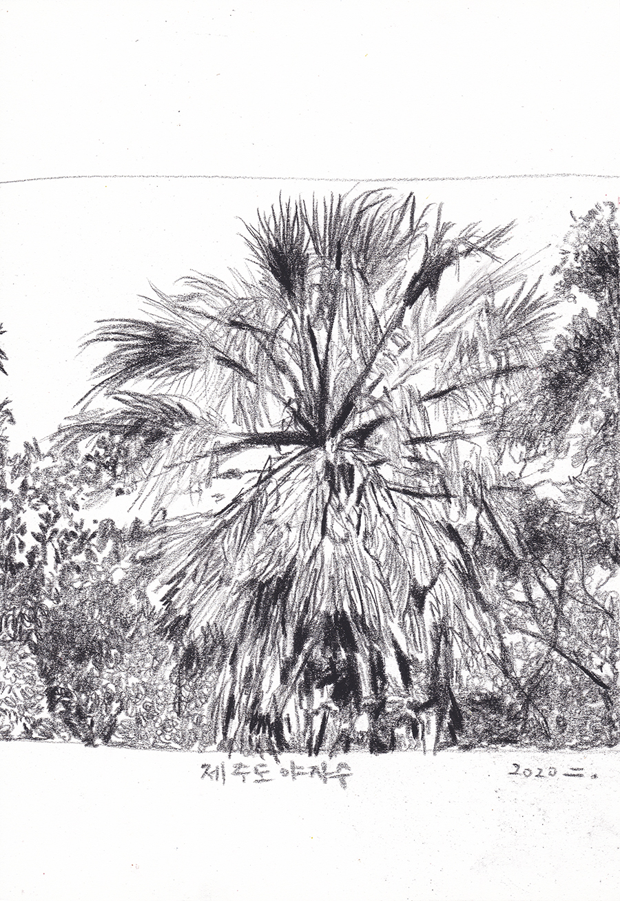 제주도 야자수, 2020, pencil on paper, 27.9*21(cm)