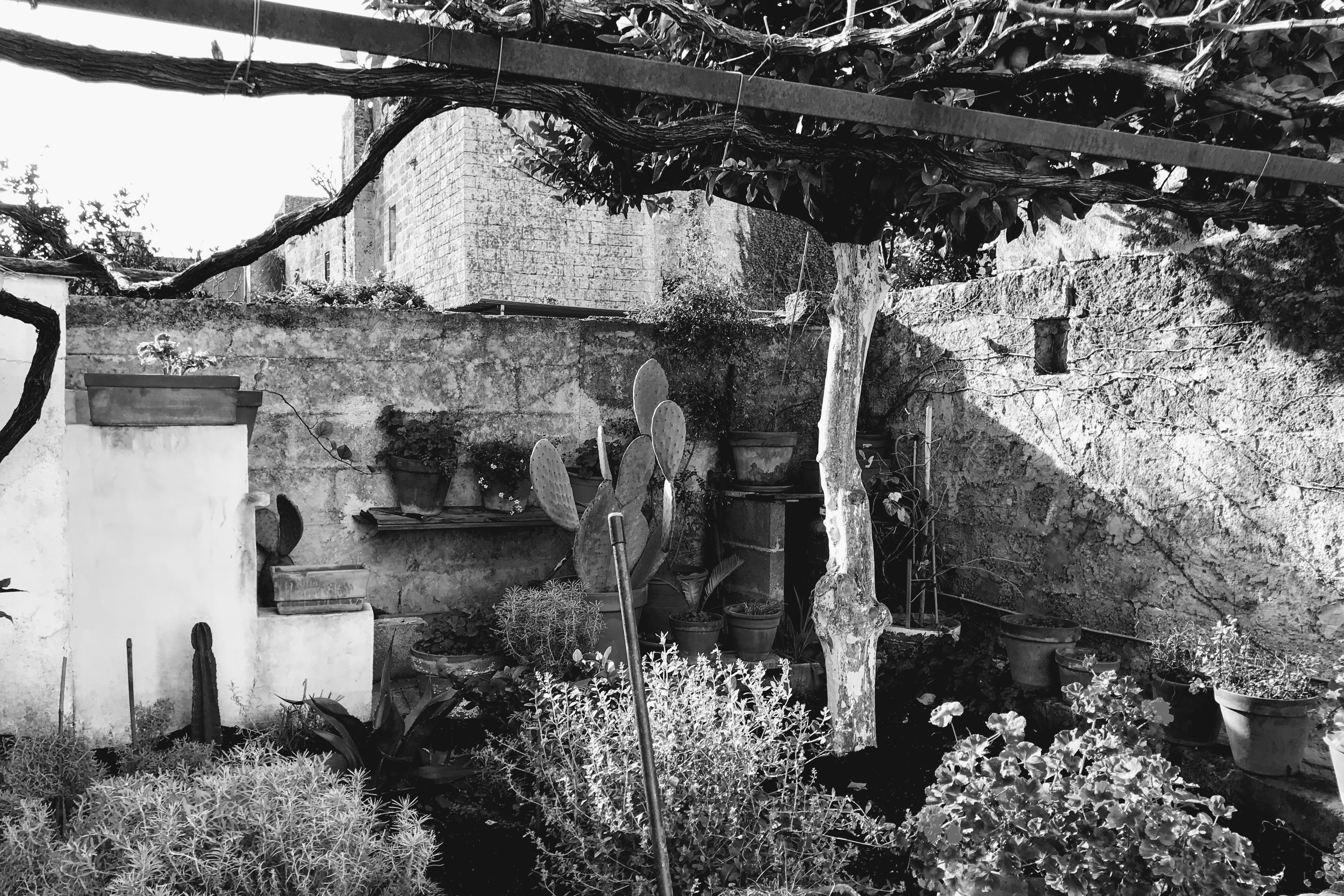 Giuliano di Lecce, 4-1-18