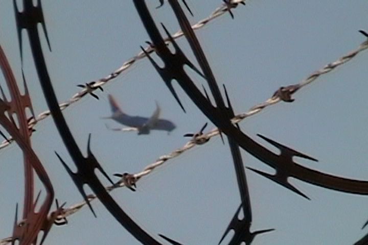 Birdwatching #1 / Dir. Miguel de Laveaga / Short