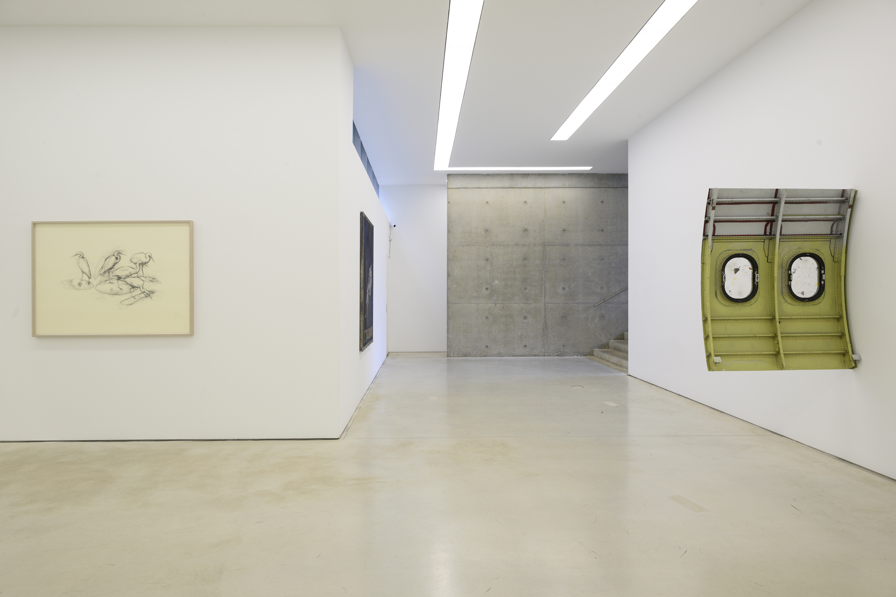 Foto's door Peter Cox