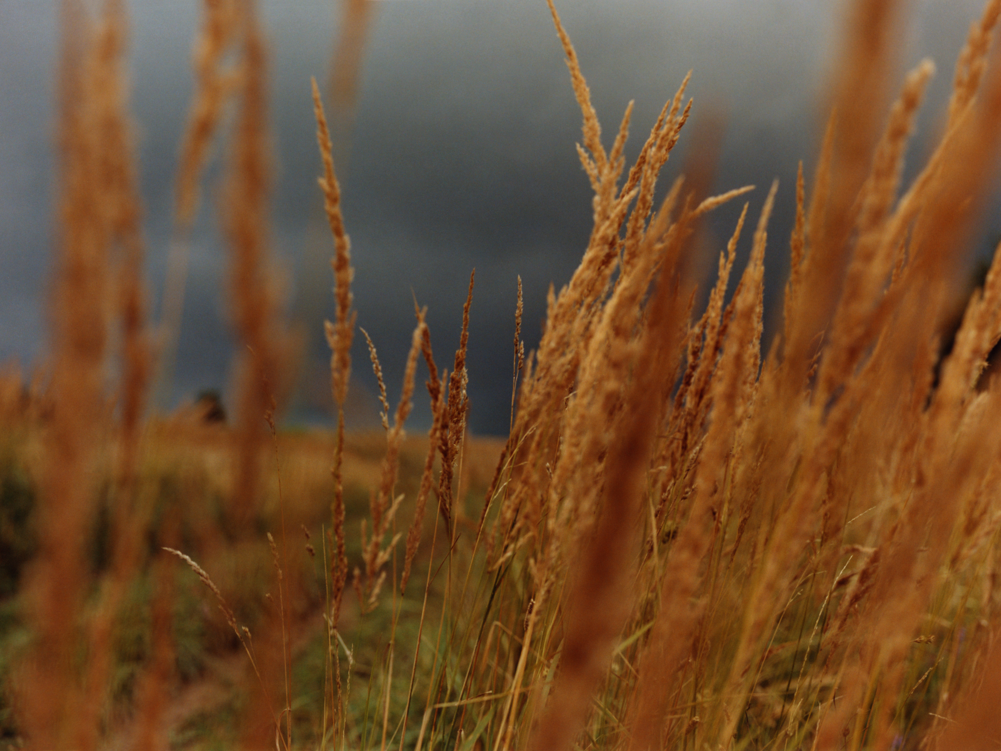 The Greatest Magazine,  1/13 