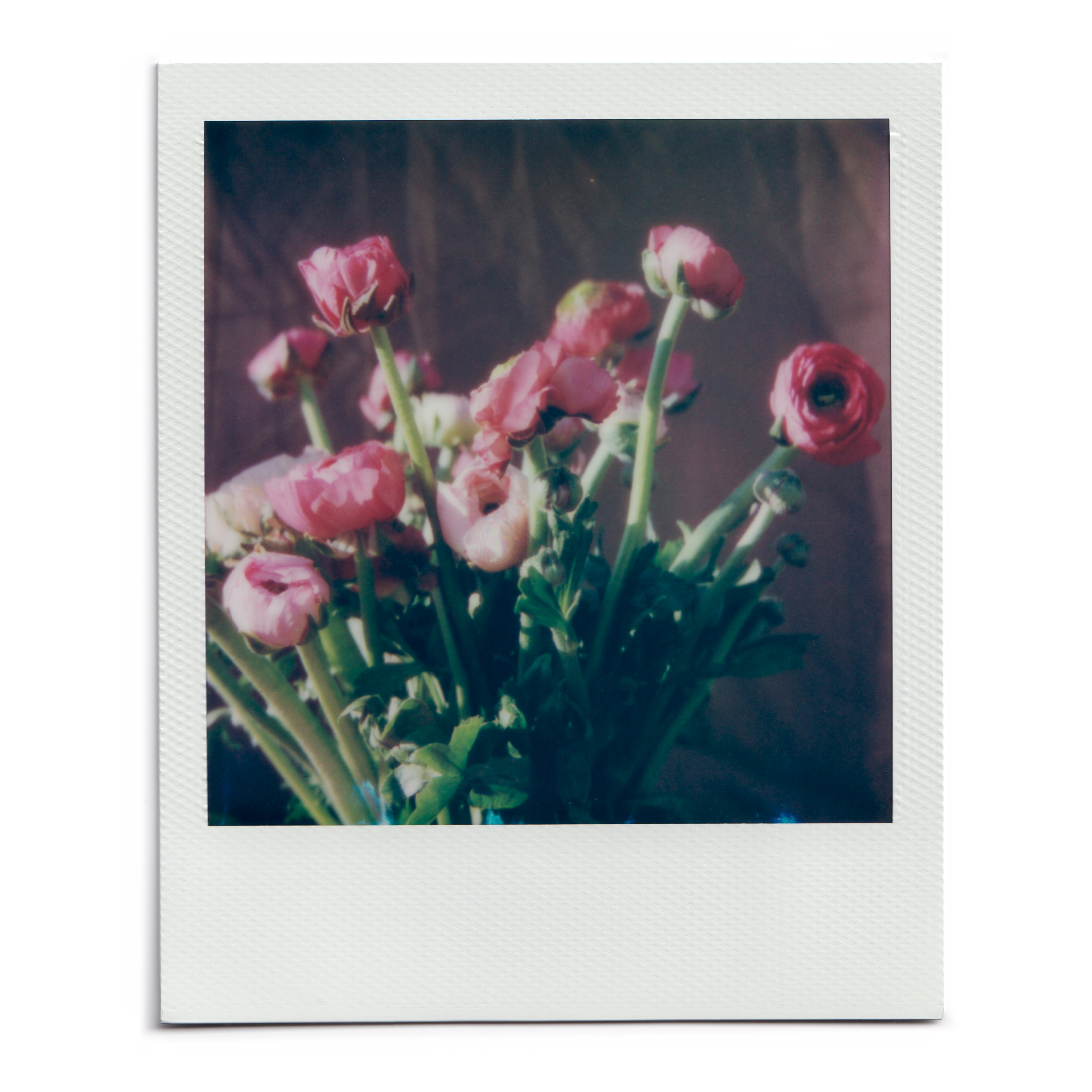 n.00193 (2022), Polaroid 600, 10.75x8.84cm