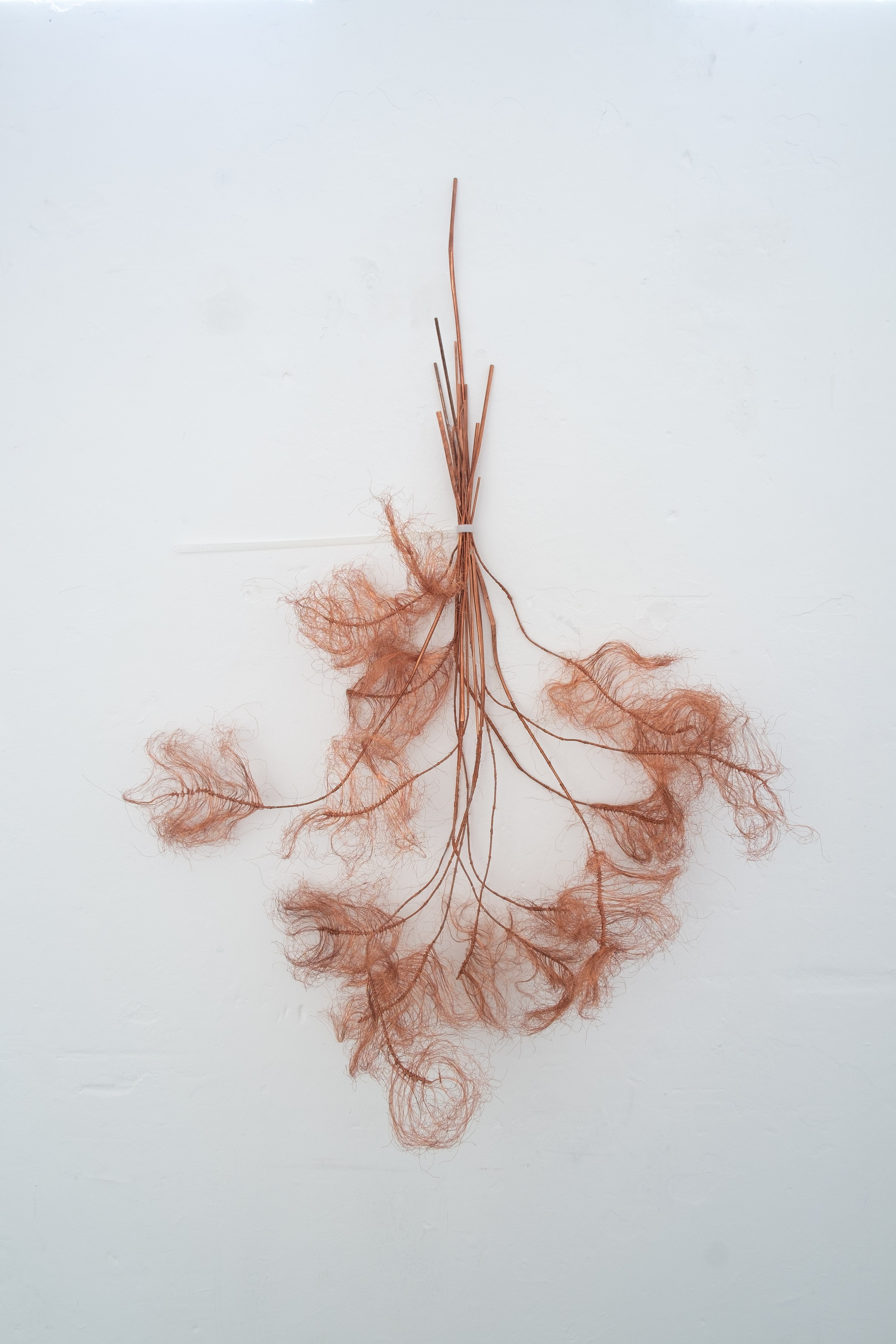 Plume, 2022, recycled copper audio cabling, cable tie. Jasmine Pajdak