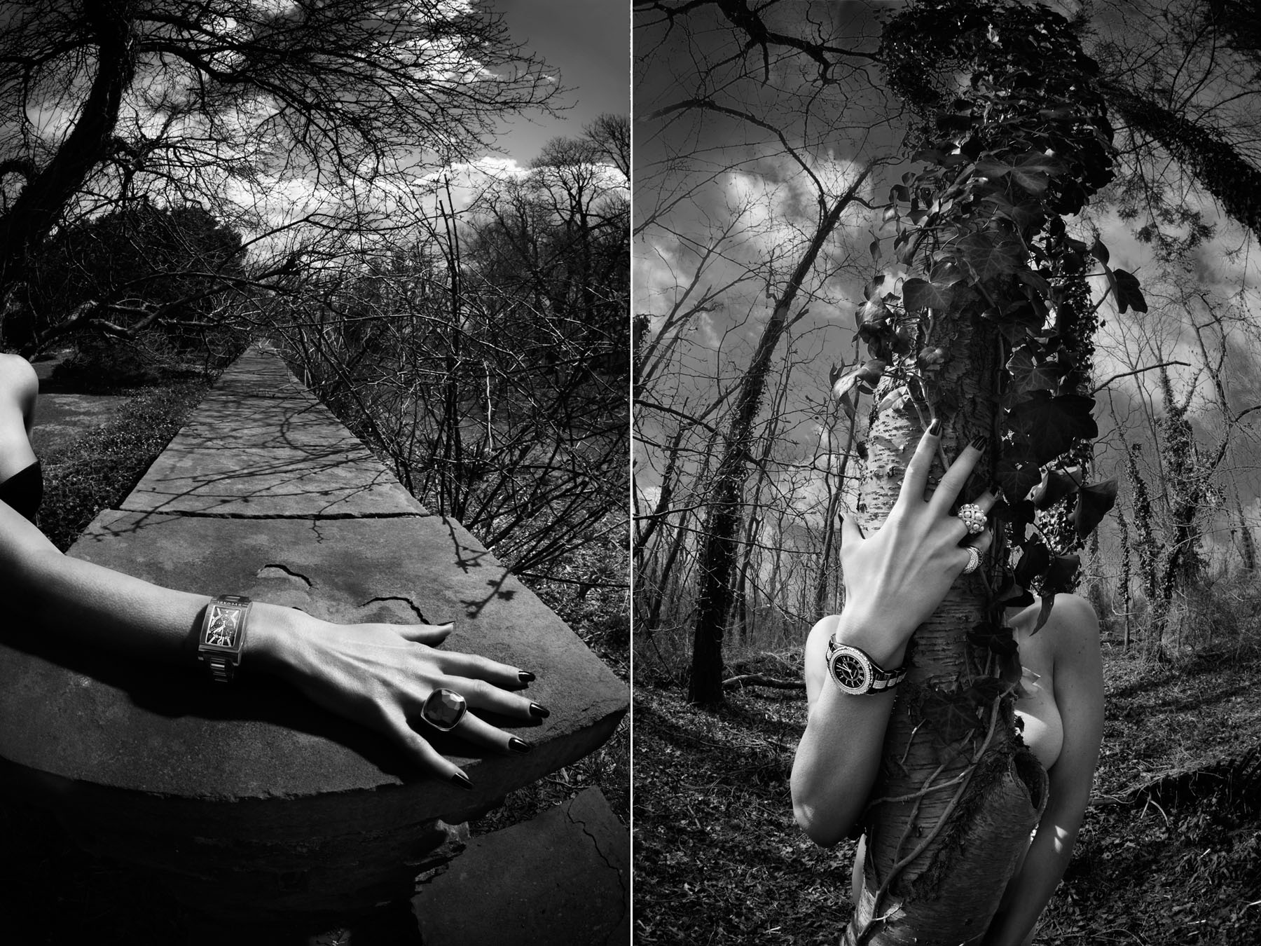 Japanese Vogue, 20072/3