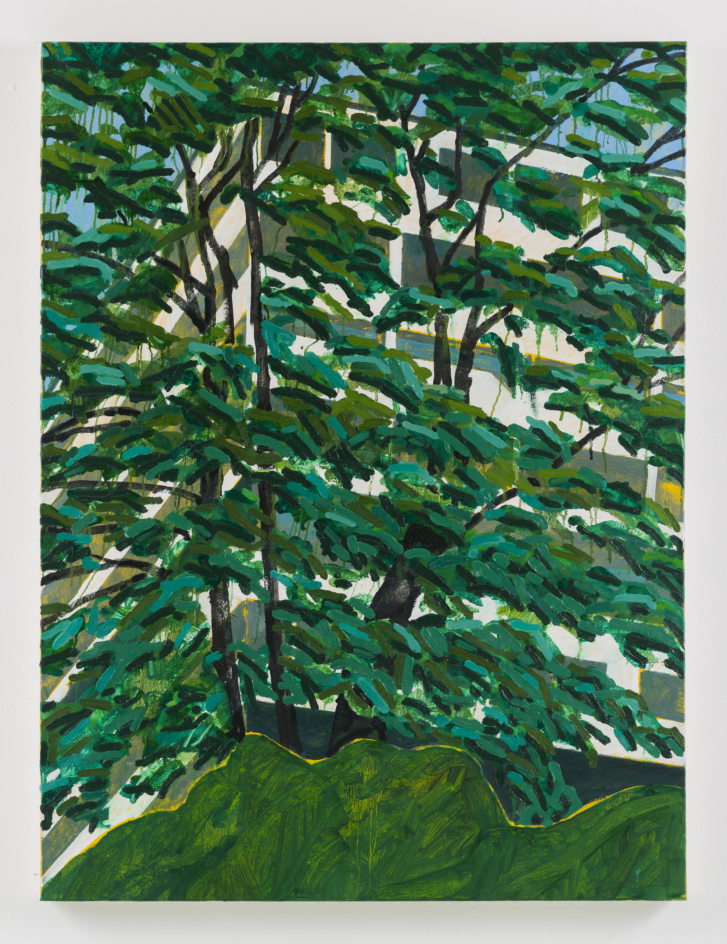 "Canopy" oil on canvas, 48 x 36 in., 2020