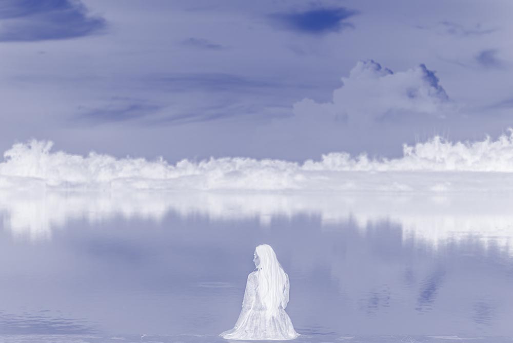 portrait editorial portraits . headshots . video cv 