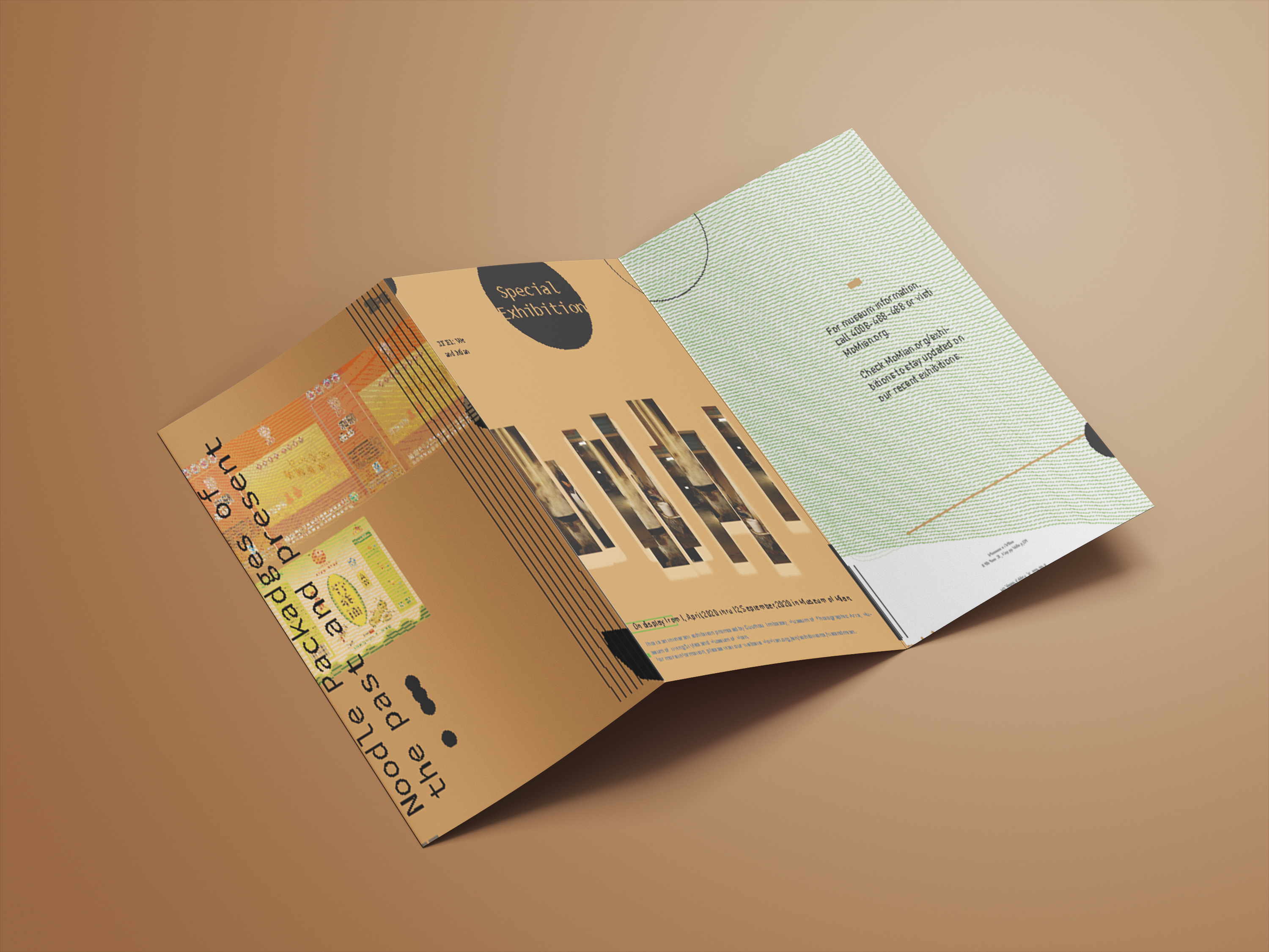 Museum Catalogue - Back