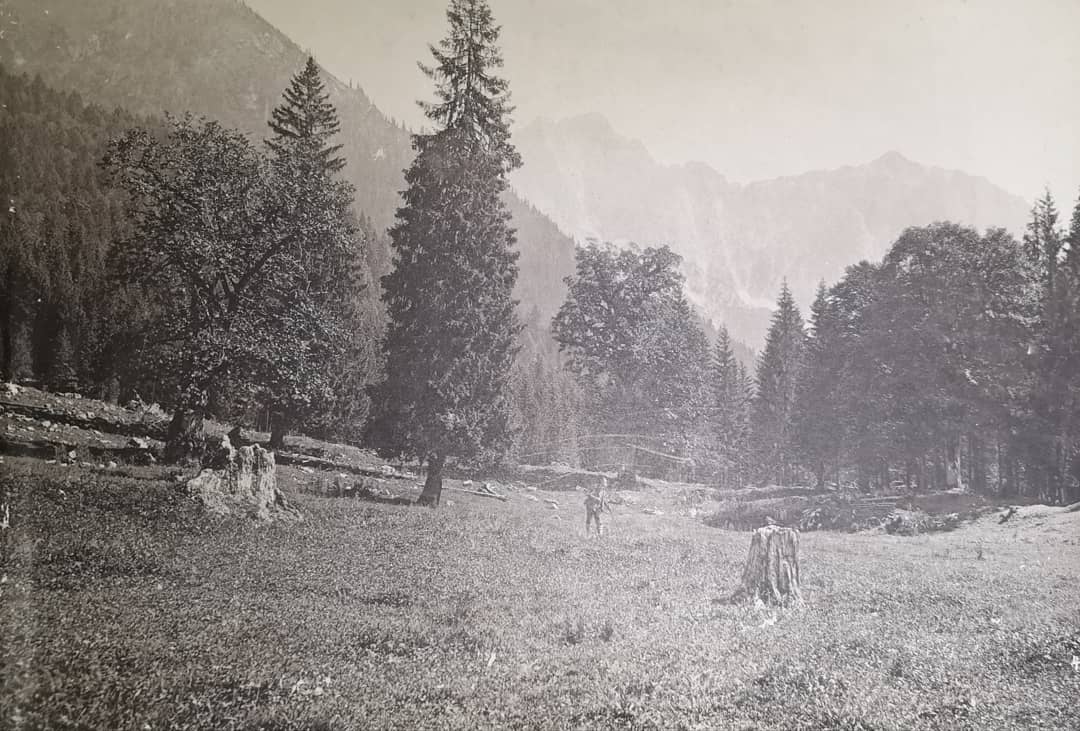 ︎︎︎ Residency with National Trust (The Firs, Worcestershire) & New Art West Midlands, 2018.