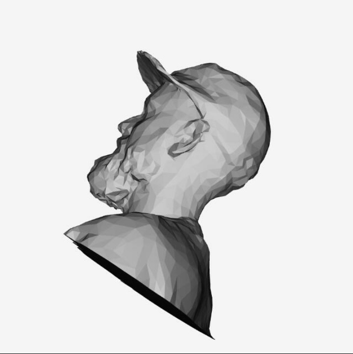 Guillermo Saenz Arraras