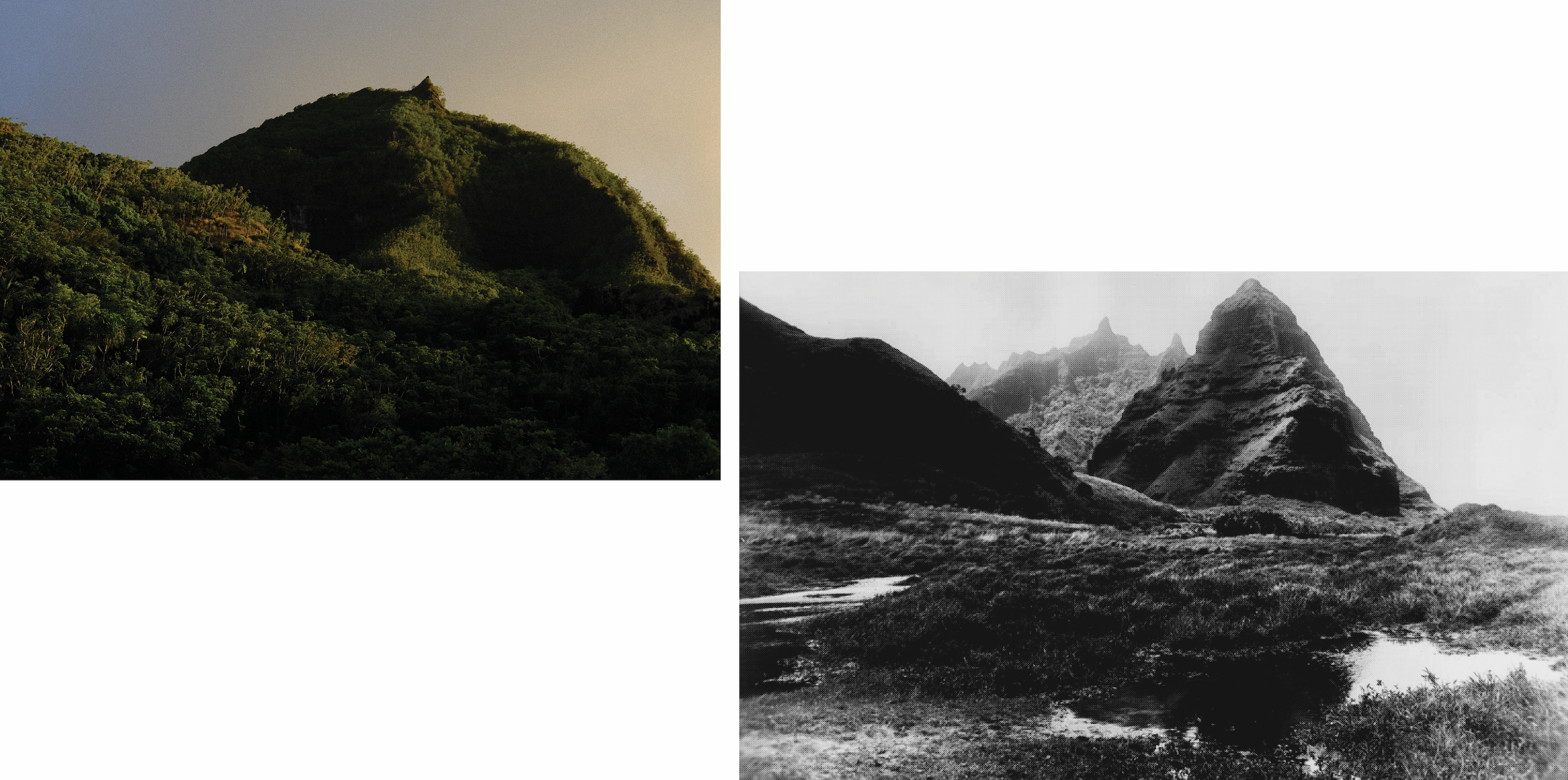 left: Limahuli Valley eastern slope, 2022; right: Photograph by Alfred Mitchell, 1892, Bishop Museum