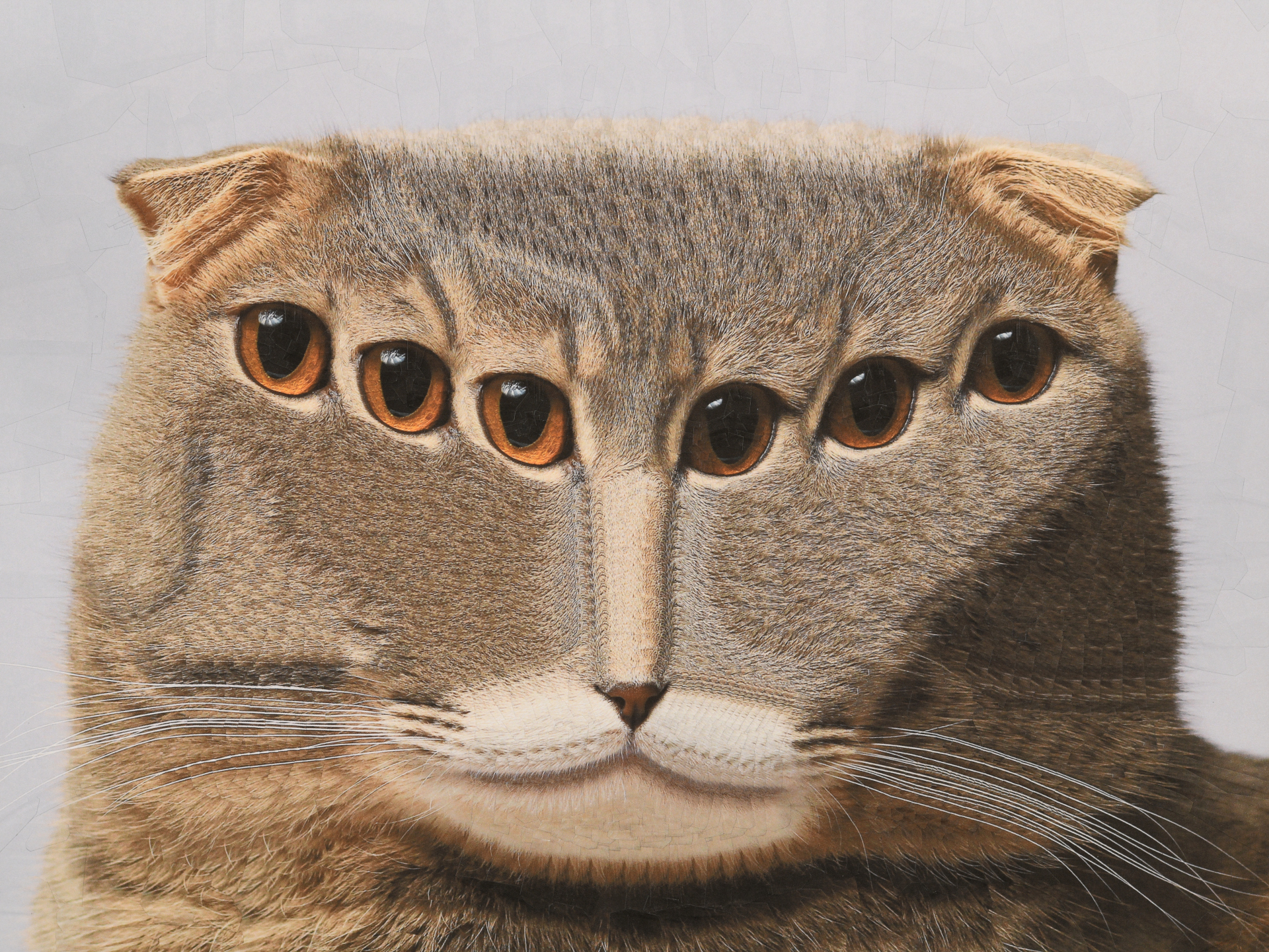 Geordi, 2025, 12 x 16 inches