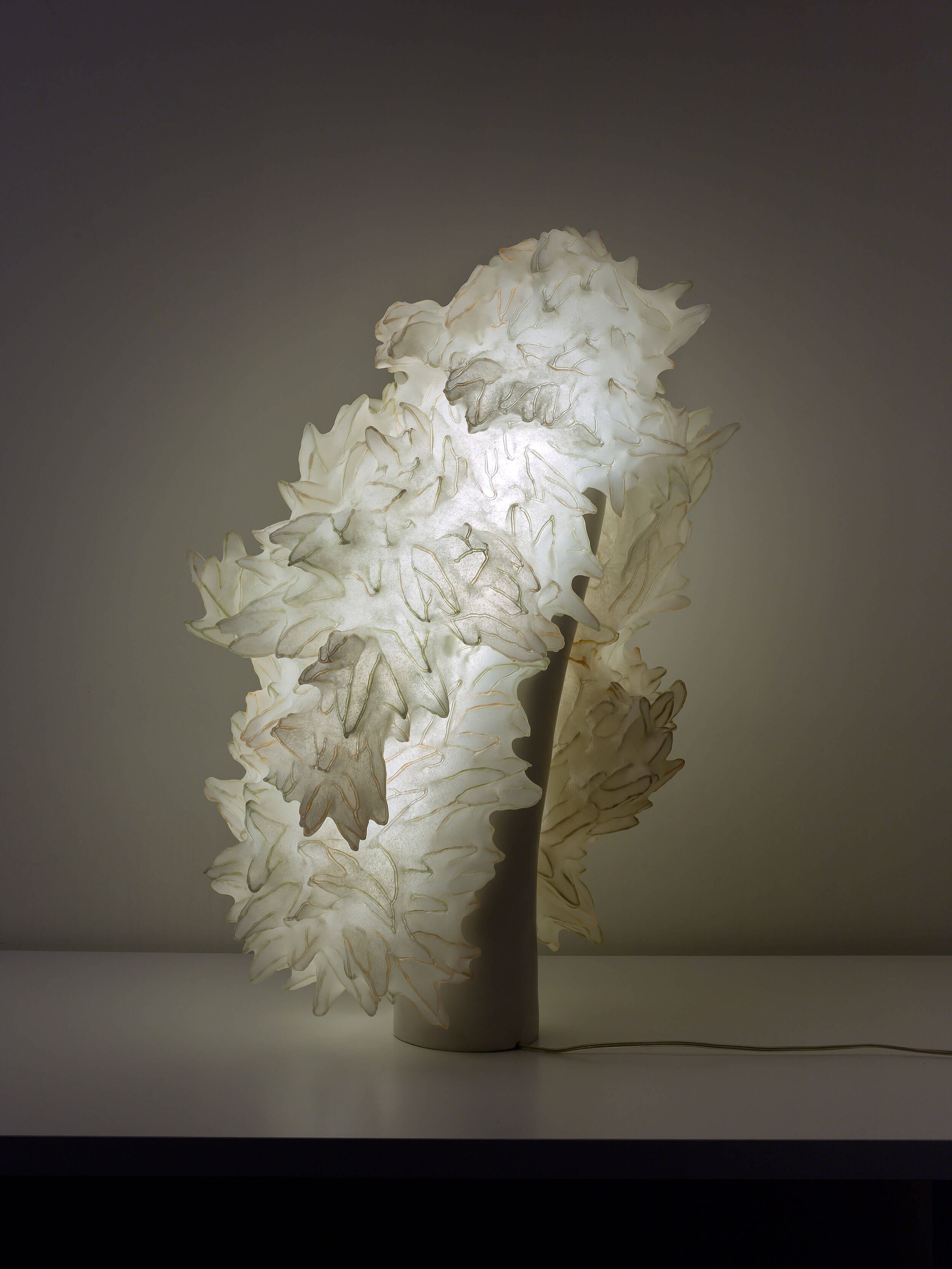 Adaptation, 2014 / 80x50x40cm, 32x20x16”