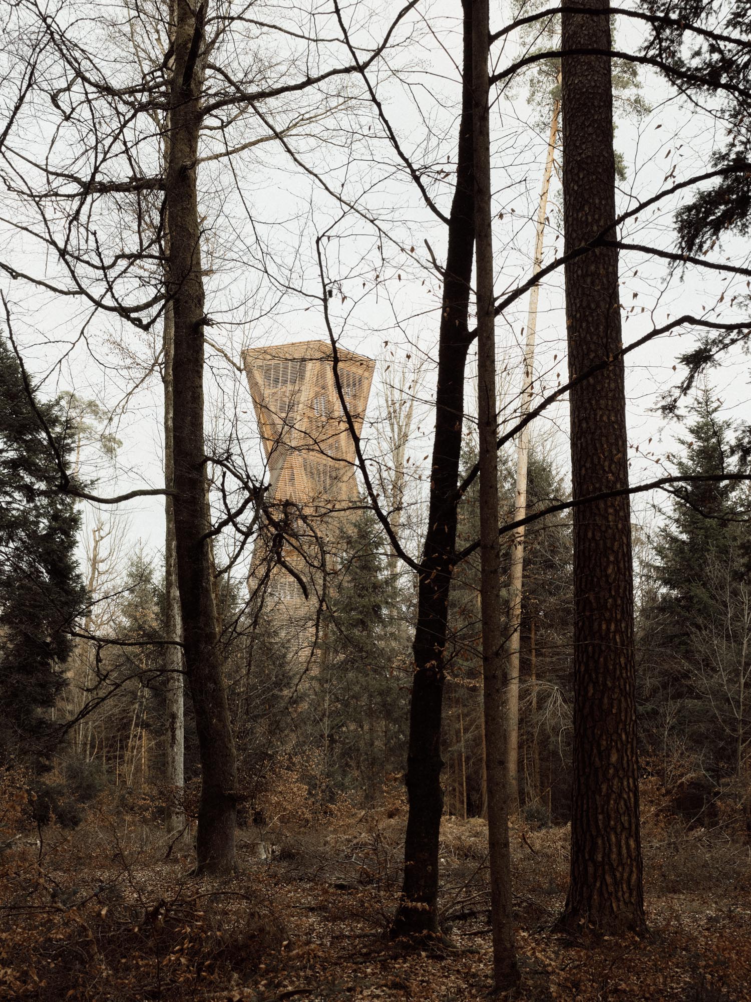 Luna Productions, Aussichtsturm Hardwald, 2023
