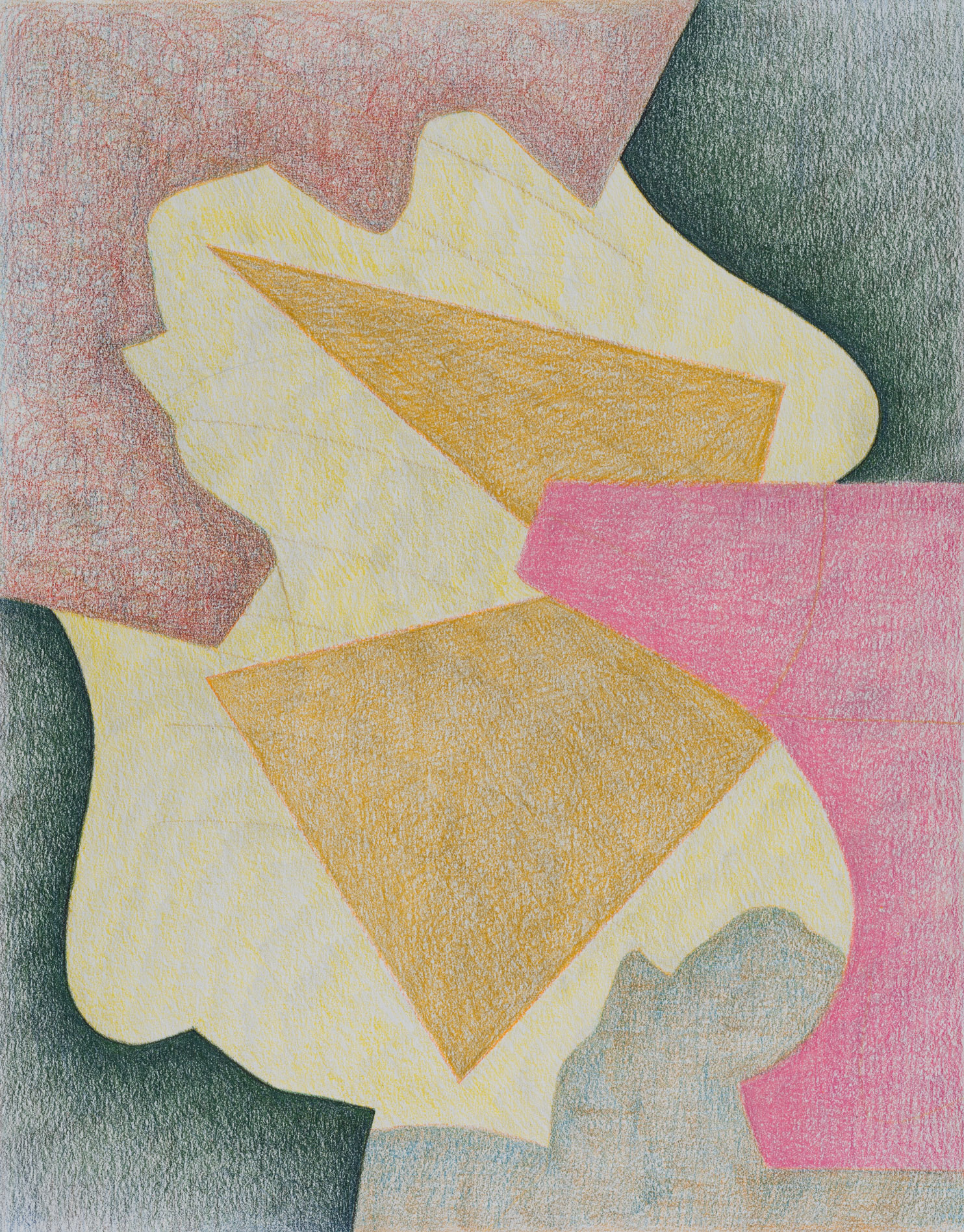 Azalea, 2021, colored pencil and graphite on paper, 14 × 11".