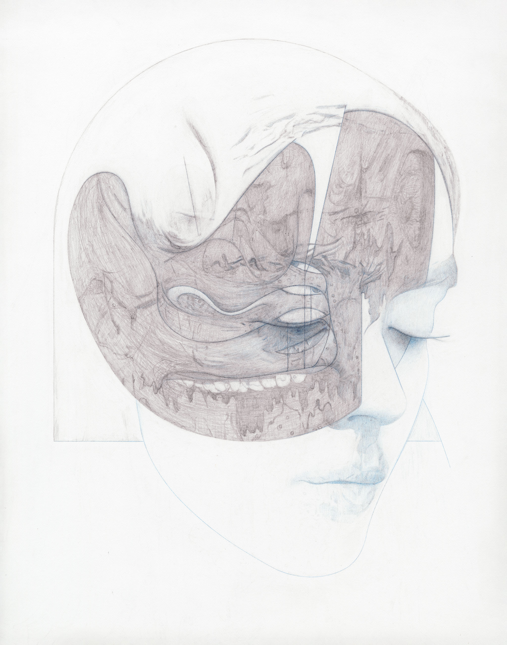 rshrini 14x11 colored pencil and graphite on paper 2019