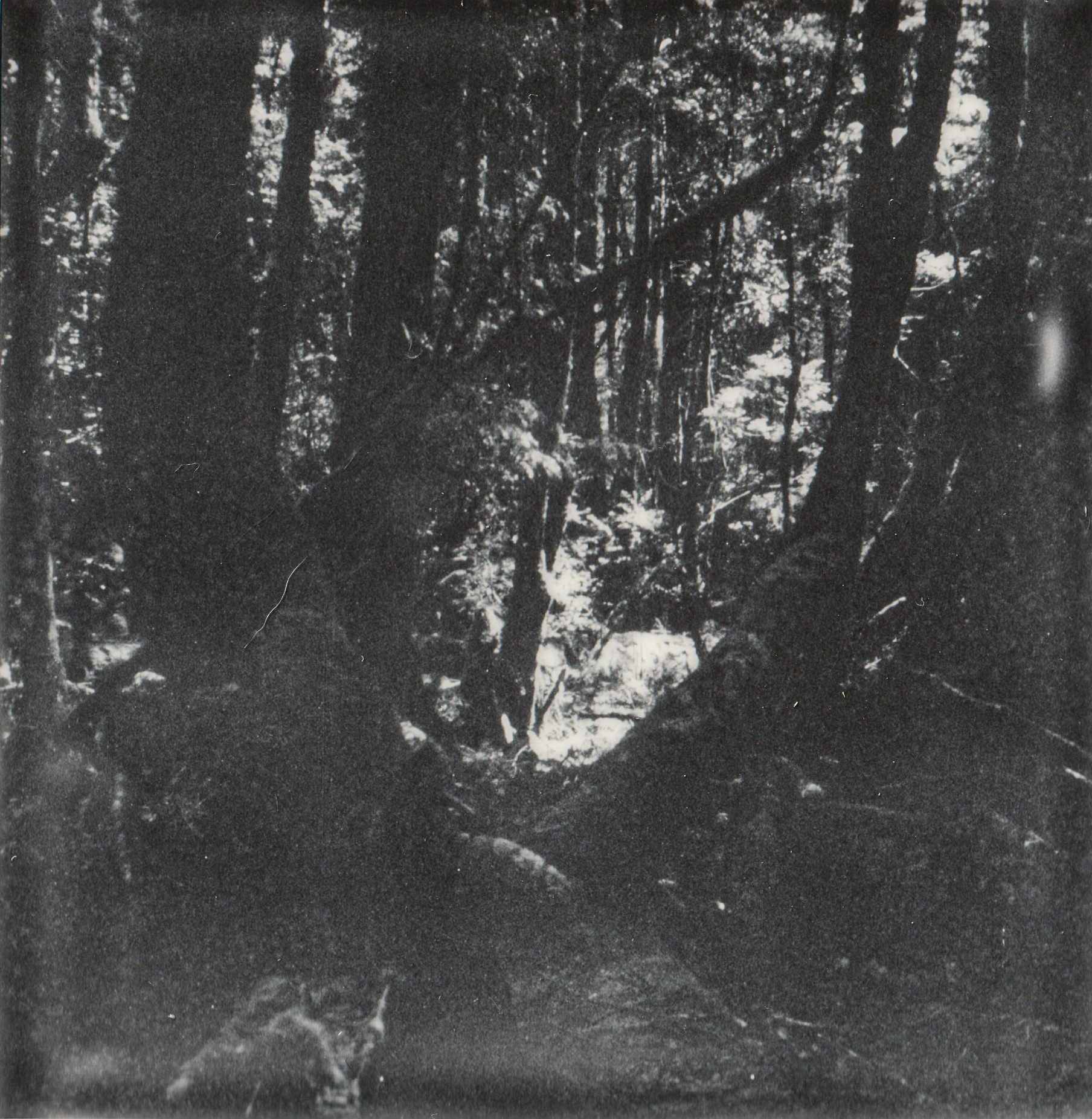 SEEK AND YE SHALL FIND